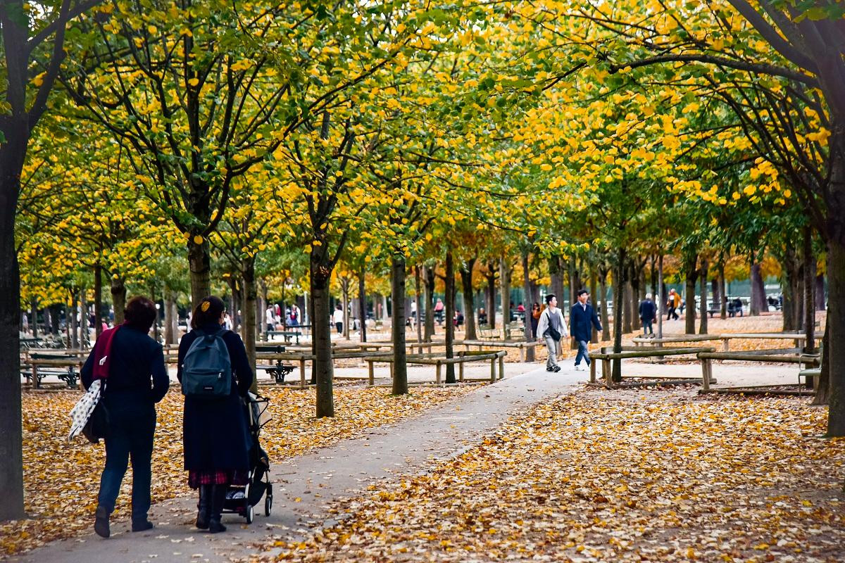 Lá cây từ màu xanh chuyển dần sang sắc vàng, sắc đỏ nhuộm đầy những tán lá rung rinh, rồi khẽ chạm mình xuống dòng người đông đúc. (Ảnh: MINH DUY)