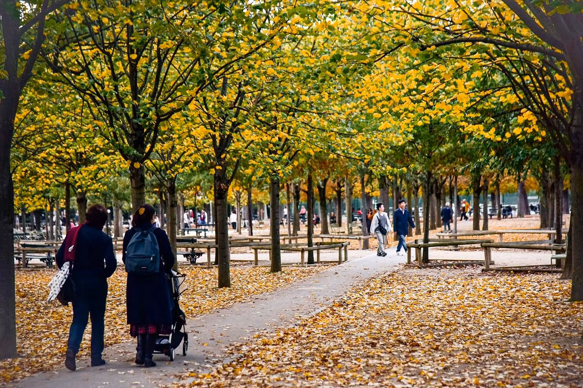 Lá cây từ màu xanh chuyển dần sang sắc vàng, sắc đỏ nhuộm đầy những tán lá rung rinh, rồi khẽ chạm mình xuống dòng người đông đúc. (Ảnh: MINH DUY)