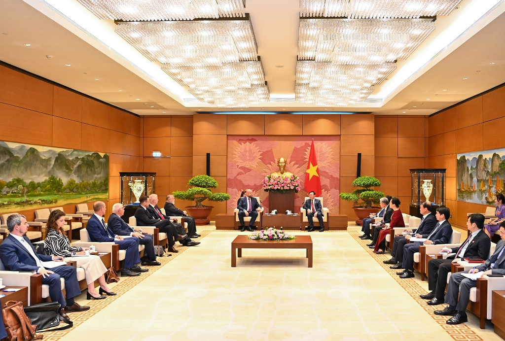 [Ảnh] Chủ tịch Quốc hội Vương Đình Huệ tiếp Phó Chủ tịch Hạ viện Cộng hòa Séc Jan Bartosek ảnh 5