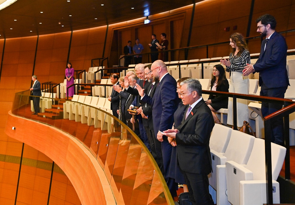 [Ảnh] Chủ tịch Quốc hội Vương Đình Huệ tiếp Phó Chủ tịch Hạ viện Cộng hòa Séc Jan Bartosek ảnh 9