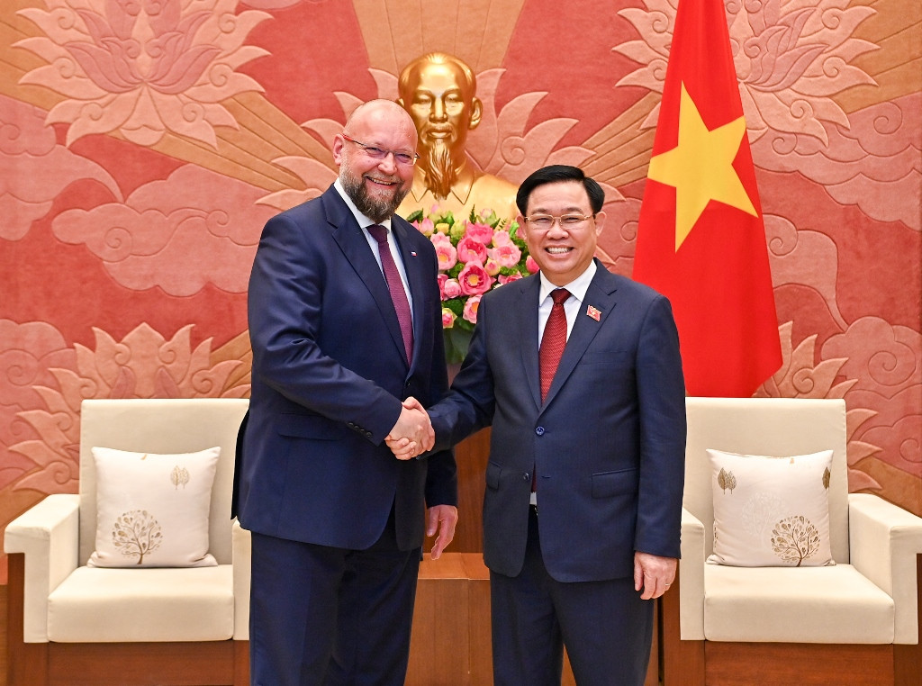 [Ảnh] Chủ tịch Quốc hội Vương Đình Huệ tiếp Phó Chủ tịch Hạ viện Cộng hòa Séc Jan Bartosek ảnh 1