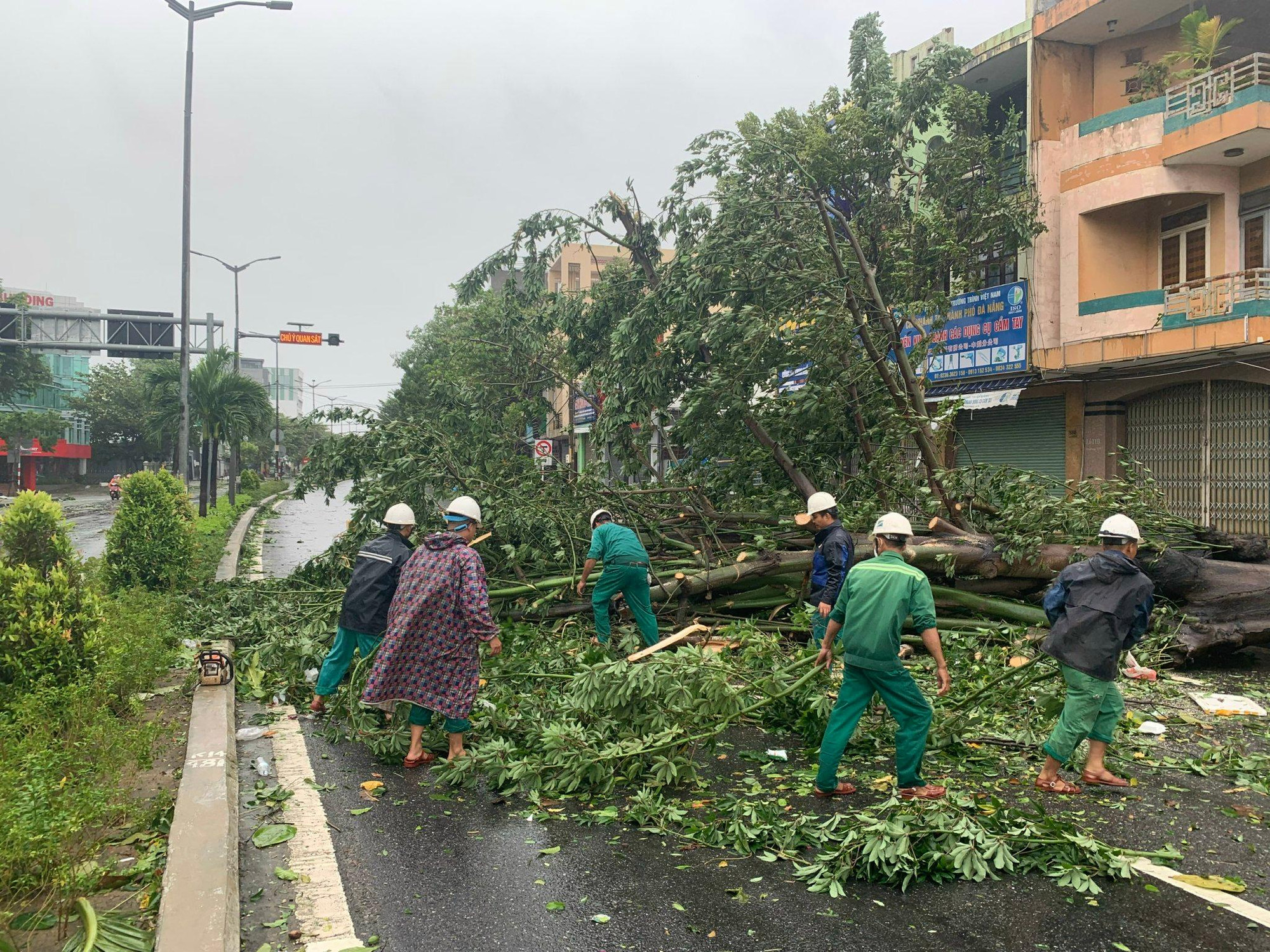 Ghi nhận đến 8 giờ sáng nay, Đà Nẵng ngưng gió, lực lượng chức năng có mặt tại tất cả các địa điểm có cây ngã đỗ để cắt tỉa và thu dọn sau bão.