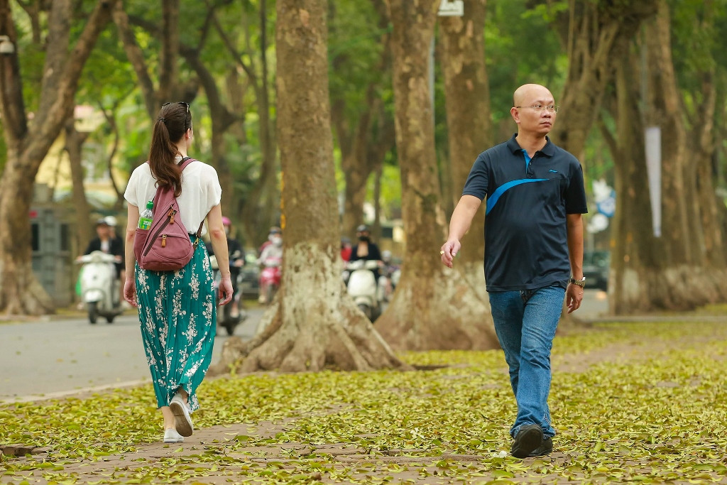 [Ảnh] Nơi mùa sấu thay lá ảnh 6