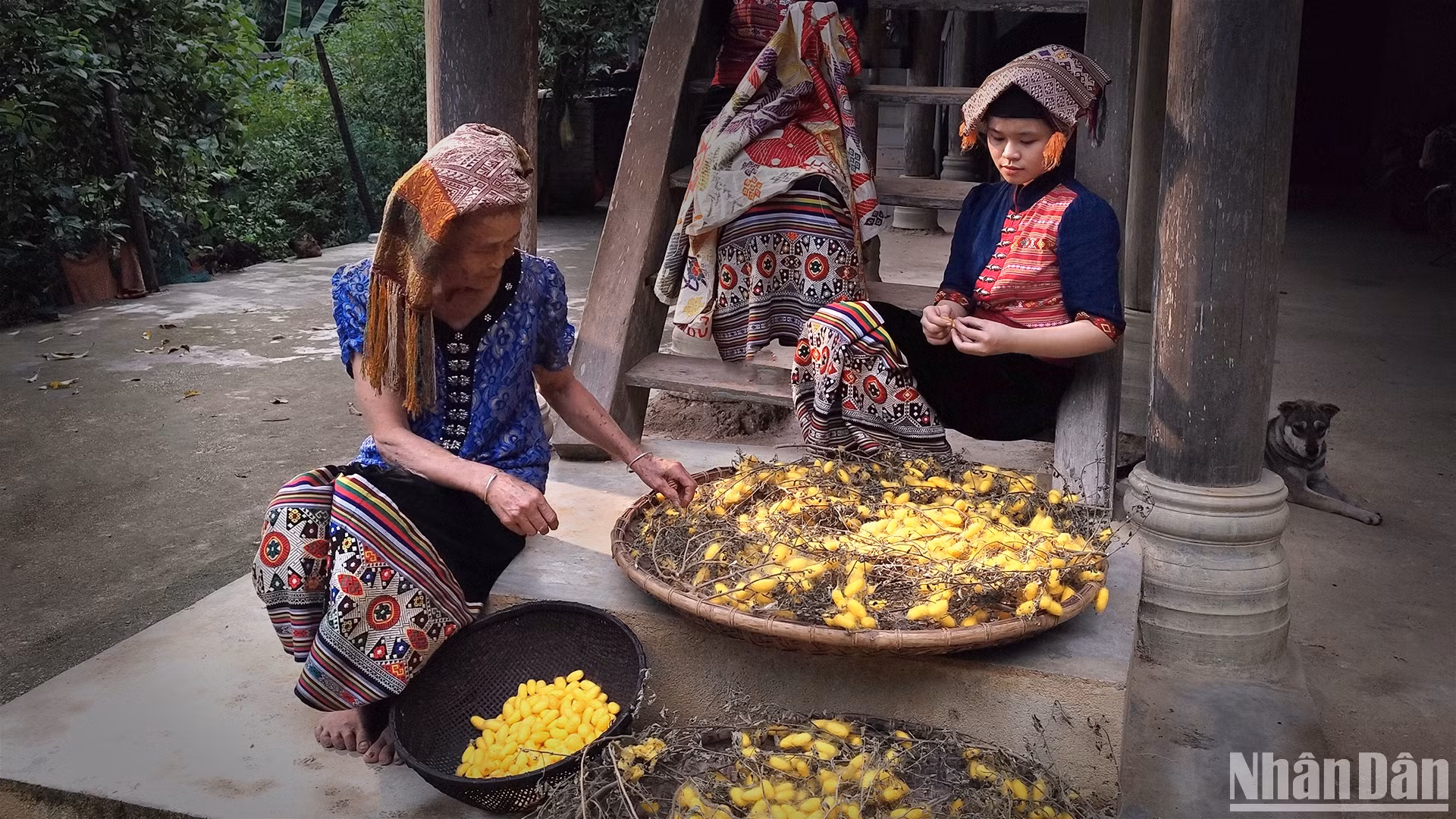 Giá trị bền vững của một nghề truyền thống lâu đời. (Ảnh: VŨ LINH)