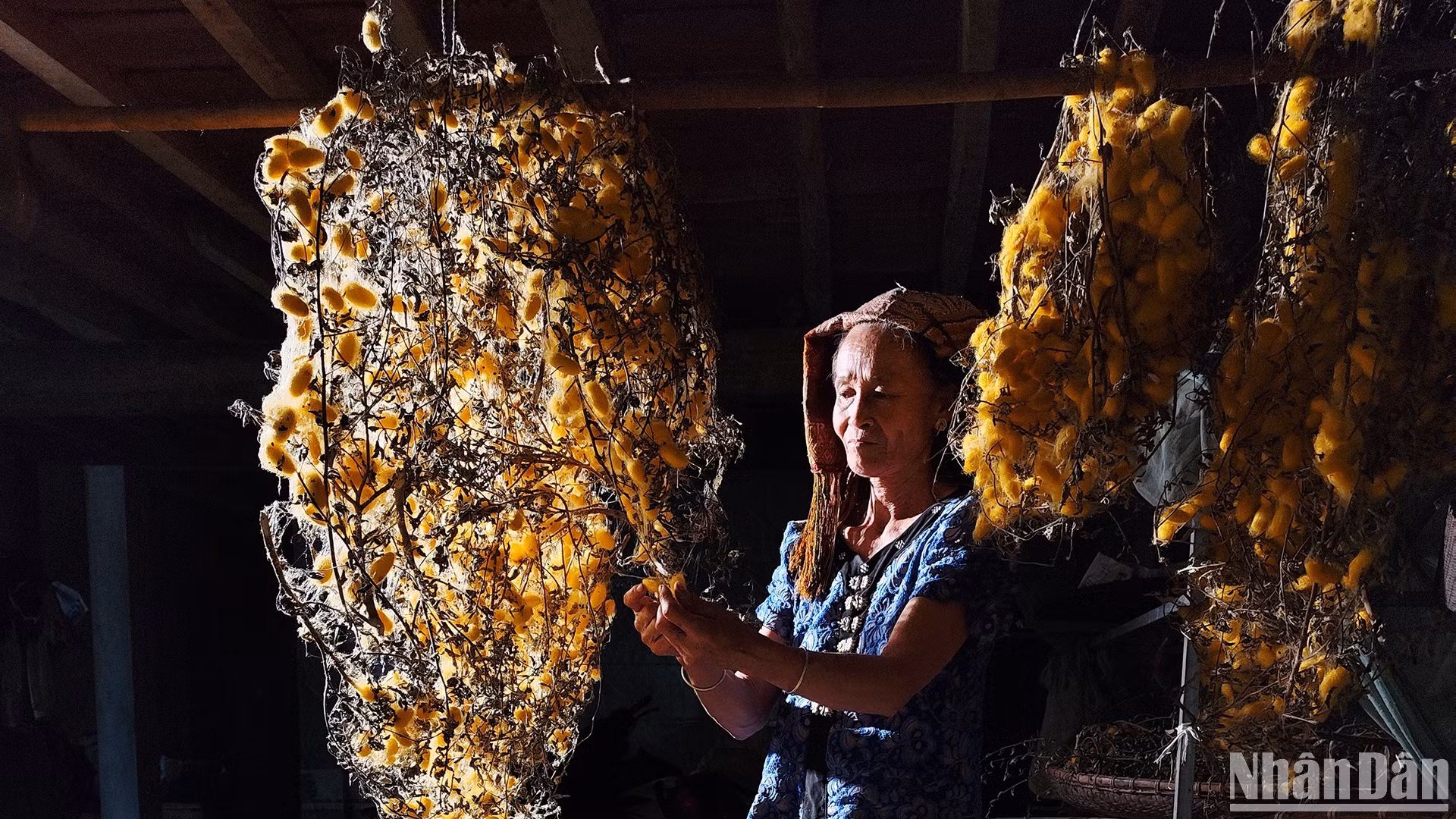 Nghề nuôi tằm ở bản Hoa Tiến, xã Châu Tiến, huyện Quỳ Châu, tỉnh Nghệ An. (Ảnh: VŨ LINH)