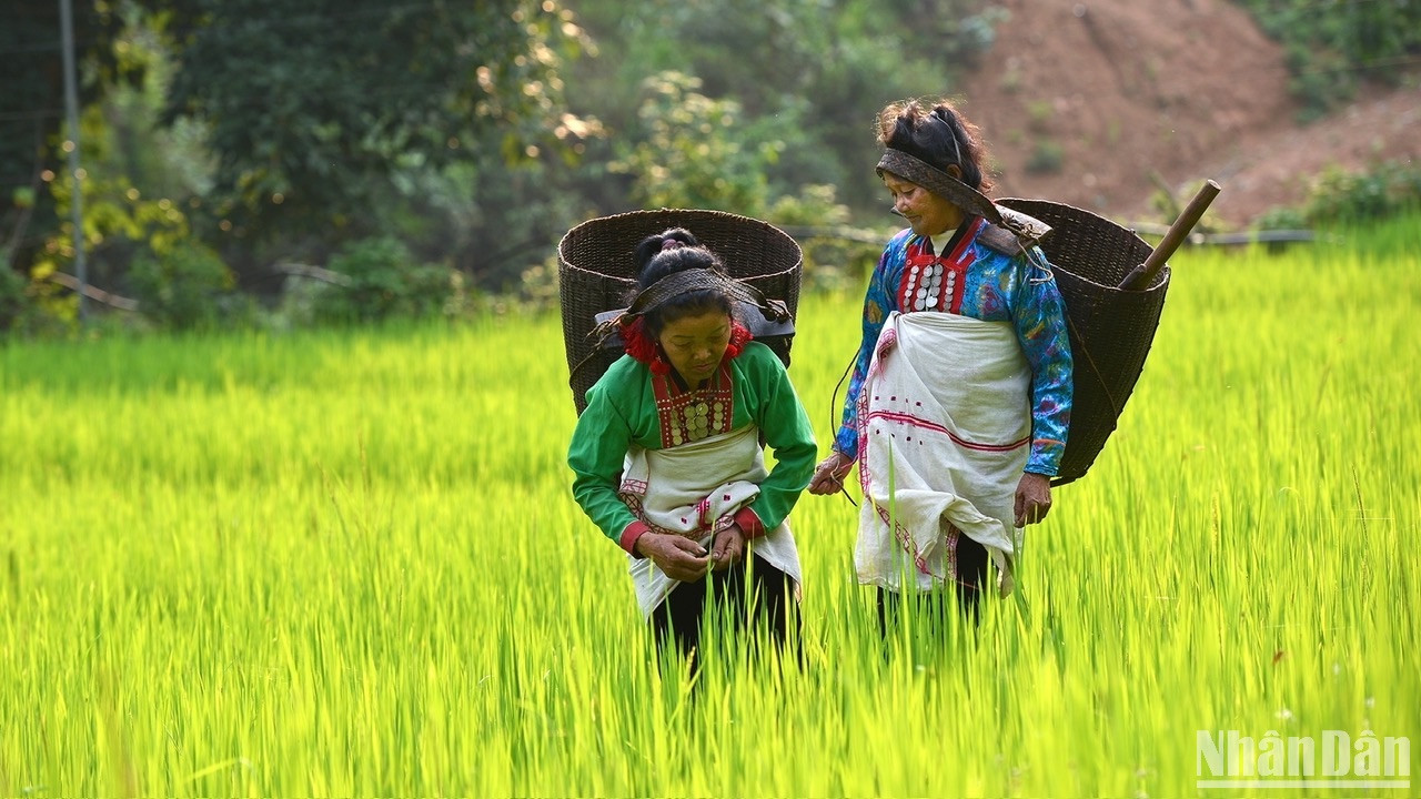 Độc đáo bản sắc văn hóa dân tộc Mảng. (Ảnh: VŨ LINH) Độc đáo bản sắc văn hóa dân tộc Mảng. (Ảnh: VŨ LINH)