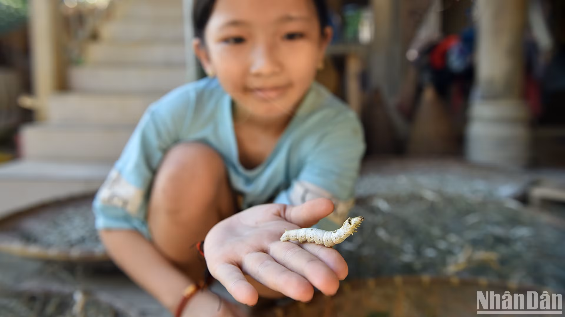 Em nhỏ tiếp nối nghề trồng dâu, nuôi tằm của gia đình. (Ảnh: VŨ LINH)
