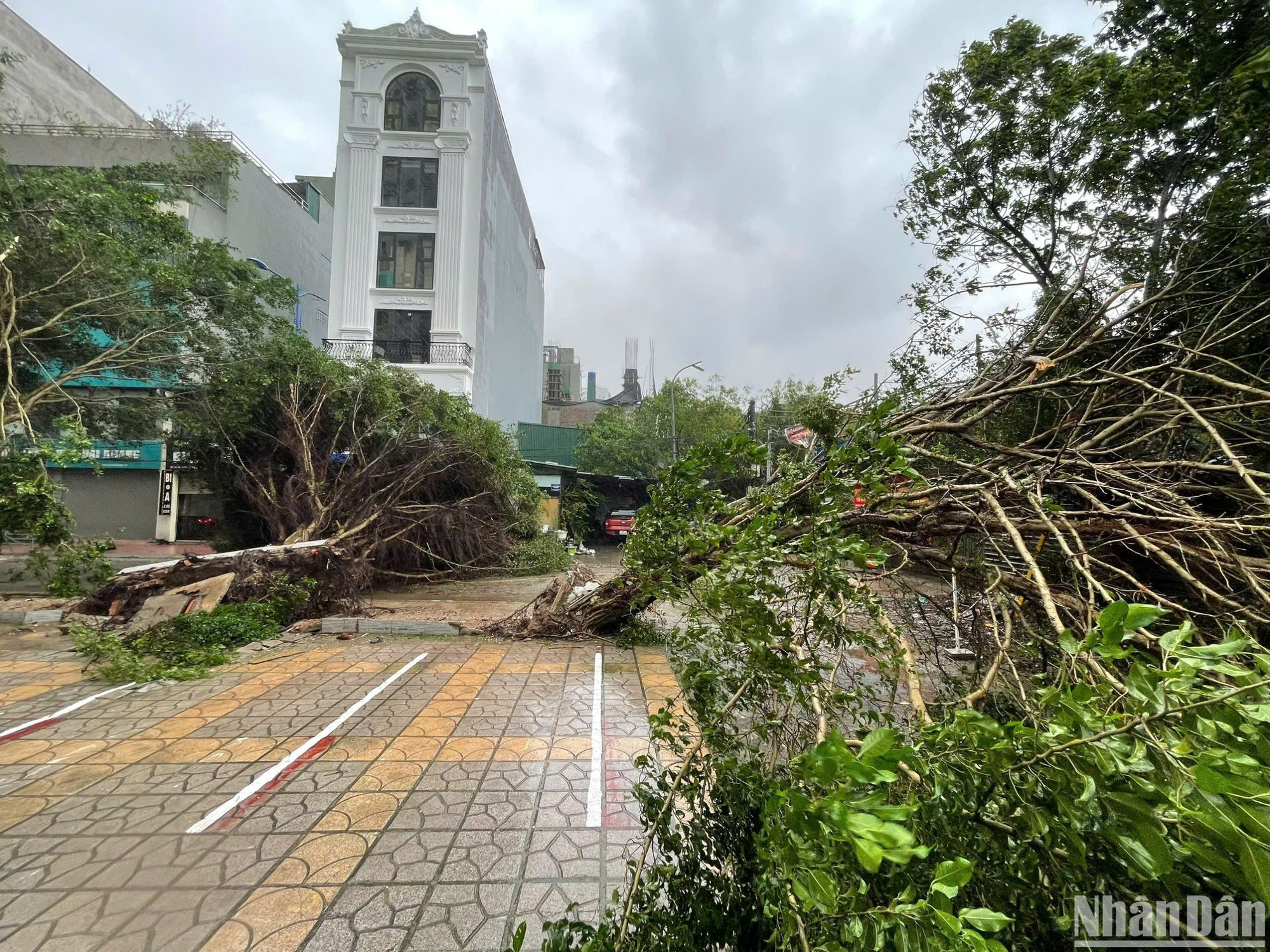 Cây xanh gãy đổ tại đường Yên Xá (Hà Nội).