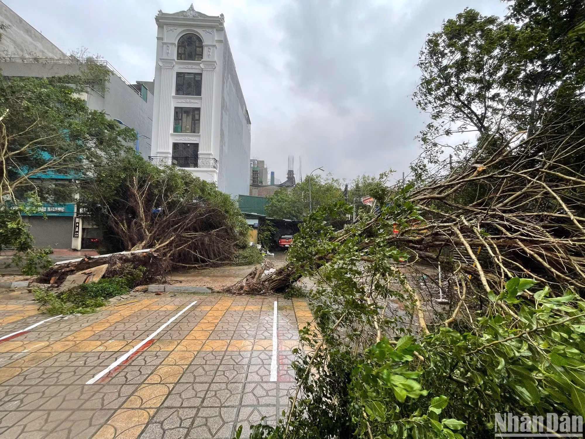 Cây xanh gãy đổ tại đường Yên Xá (Hà Nội).
