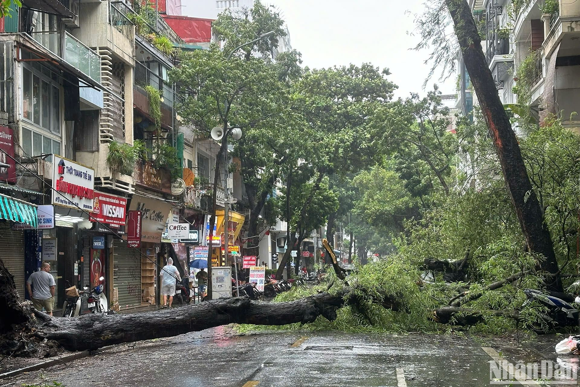 (Ảnh: THỦY NGUYÊN)