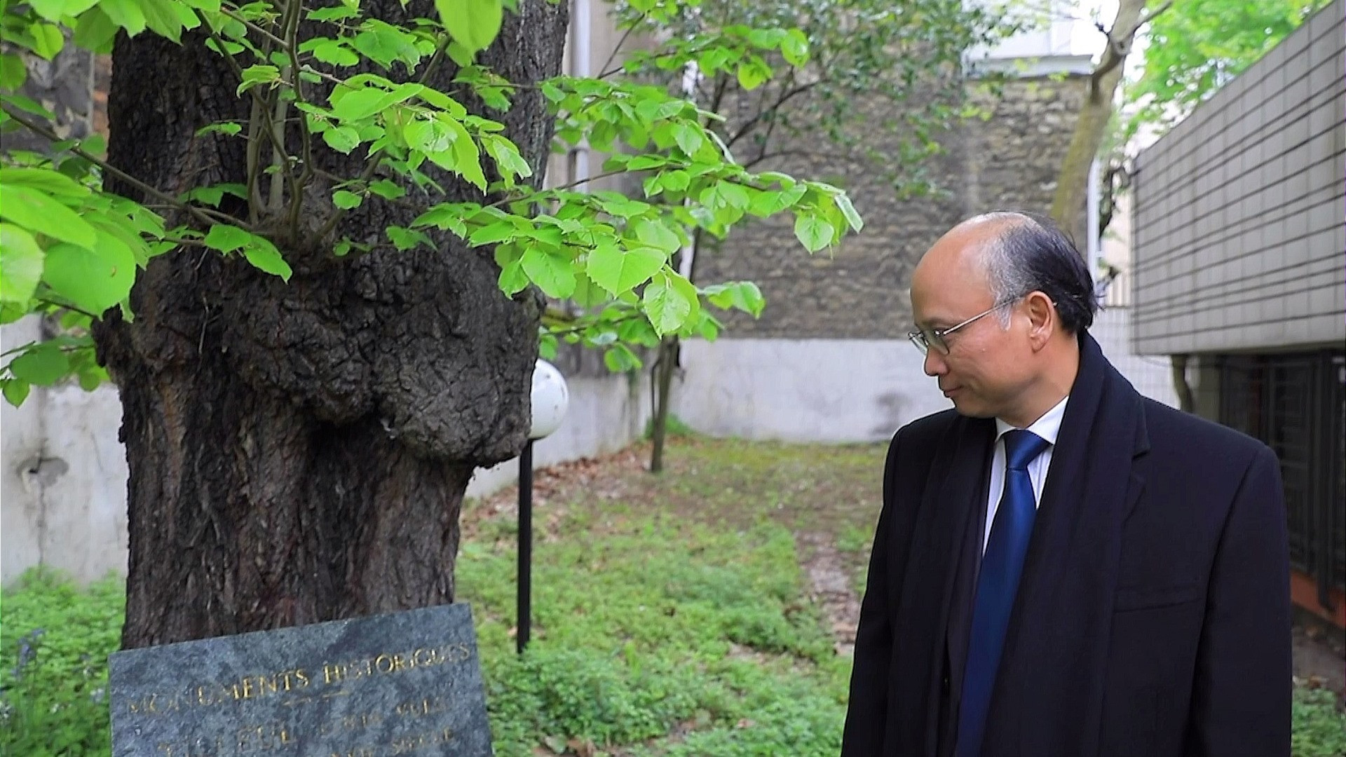 Cây Linden trong khuôn viên Tòa Đại sứ, vốn là cây di tích lịch sử-văn hóa của thành phố Paris, khi xưa là nơi nghỉ chân của nhà thơ Boileau viết nên những áng thơ đầy xúc cảm. Trong quá trình xây dựng tòa nhà và cả sau này, cây Linden vẫn được Đại sứ quán Việt Nam duy trì và chăm sóc. Cũng vì lẽ đó, cây Linden như một vật thể chứng kiến năm tháng hoạt động của cơ quan đại diện và sự lớn mạnh của cộng động người Việt tại Pháp. Cây Linden trong khuôn viên Tòa Đại sứ, vốn là cây di tích lịch sử-văn hóa của thành phố Paris, khi xưa là nơi nghỉ chân của nhà thơ Boileau viết nên những áng thơ đầy xúc cảm. Trong quá trình xây dựng tòa nhà và cả sau này, cây Linden vẫn được Đại sứ quán Việt Nam duy trì và chăm sóc. Cũng vì lẽ đó, cây Linden như một vật thể chứng kiến năm tháng hoạt động của cơ quan đại diện và sự lớn mạnh của cộng động người Việt tại Pháp.