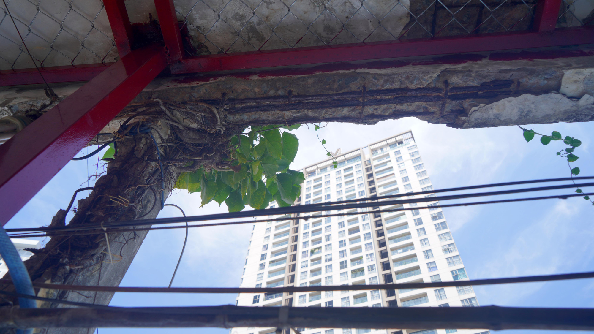 Hầu hết mảng tường đã cũ kỹ, rong rêu bám thành từng mảng loang lổ.