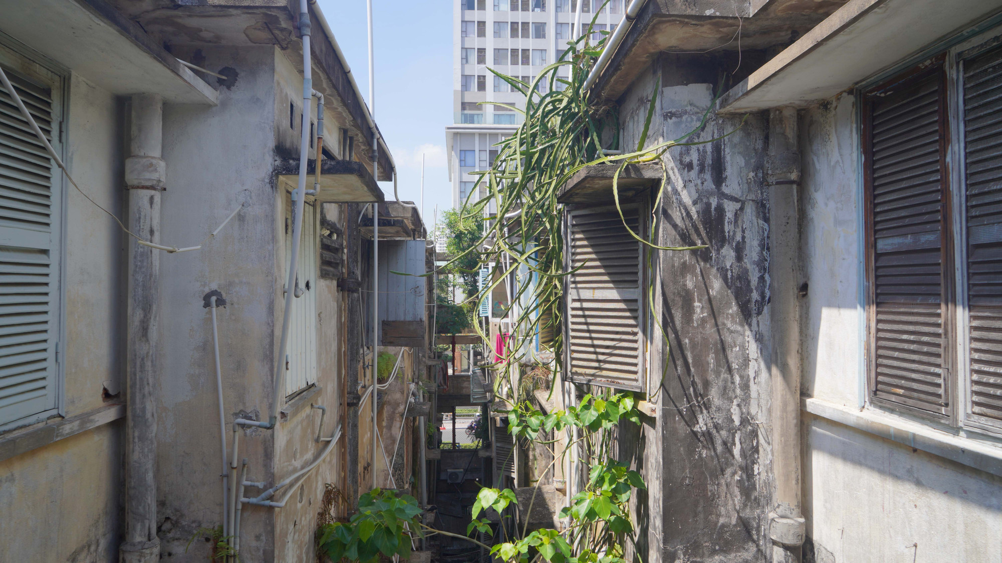 Rác thải, hệ thống nước, cây cối chất đống nằm phía sau chung cư gây mất an toàn cho cư dân.