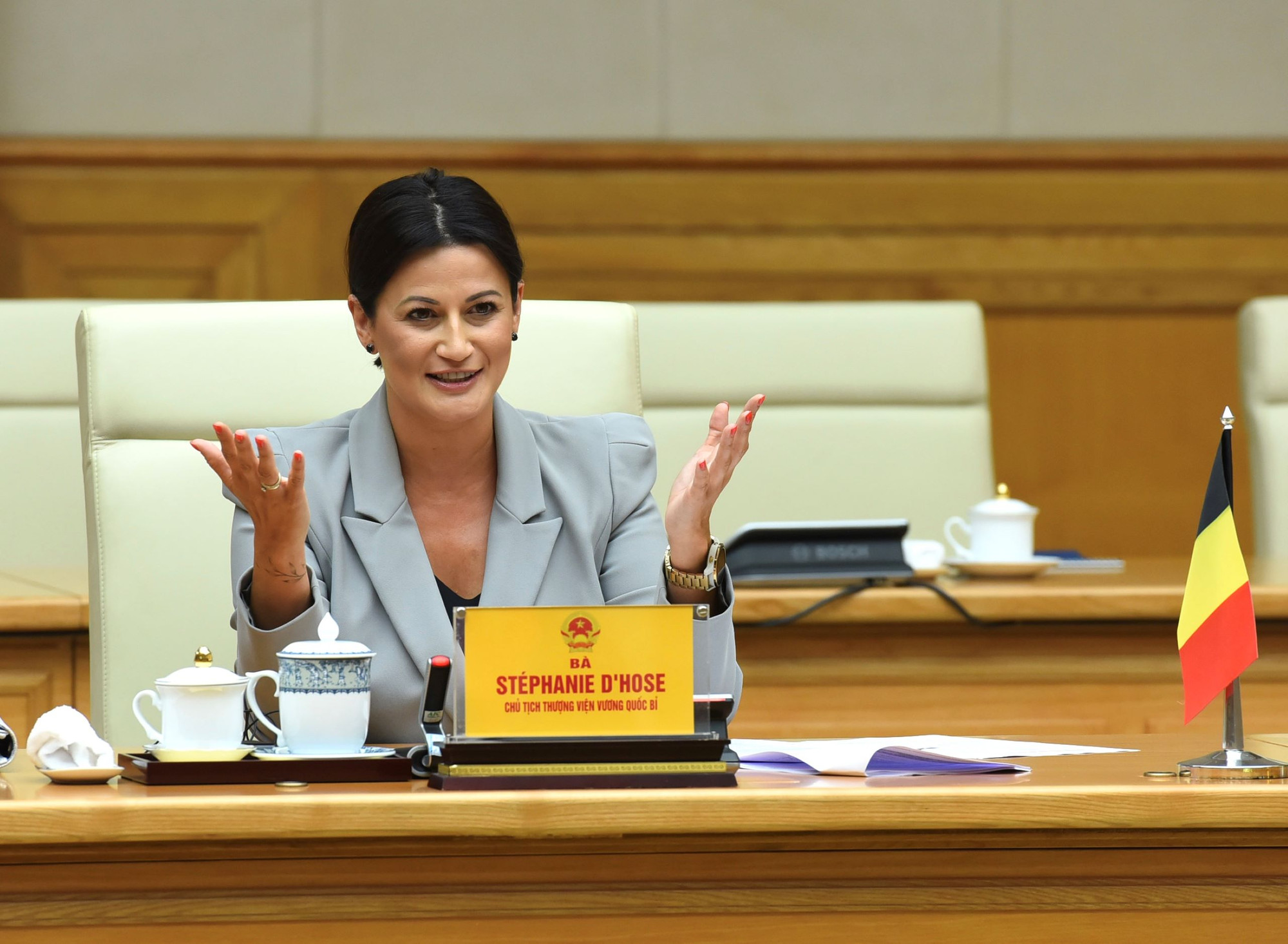 Chủ tịch Thượng viện Vương quốc Bỉ Stéphanie D'Hose phát biểu tại buổi hội kiến.