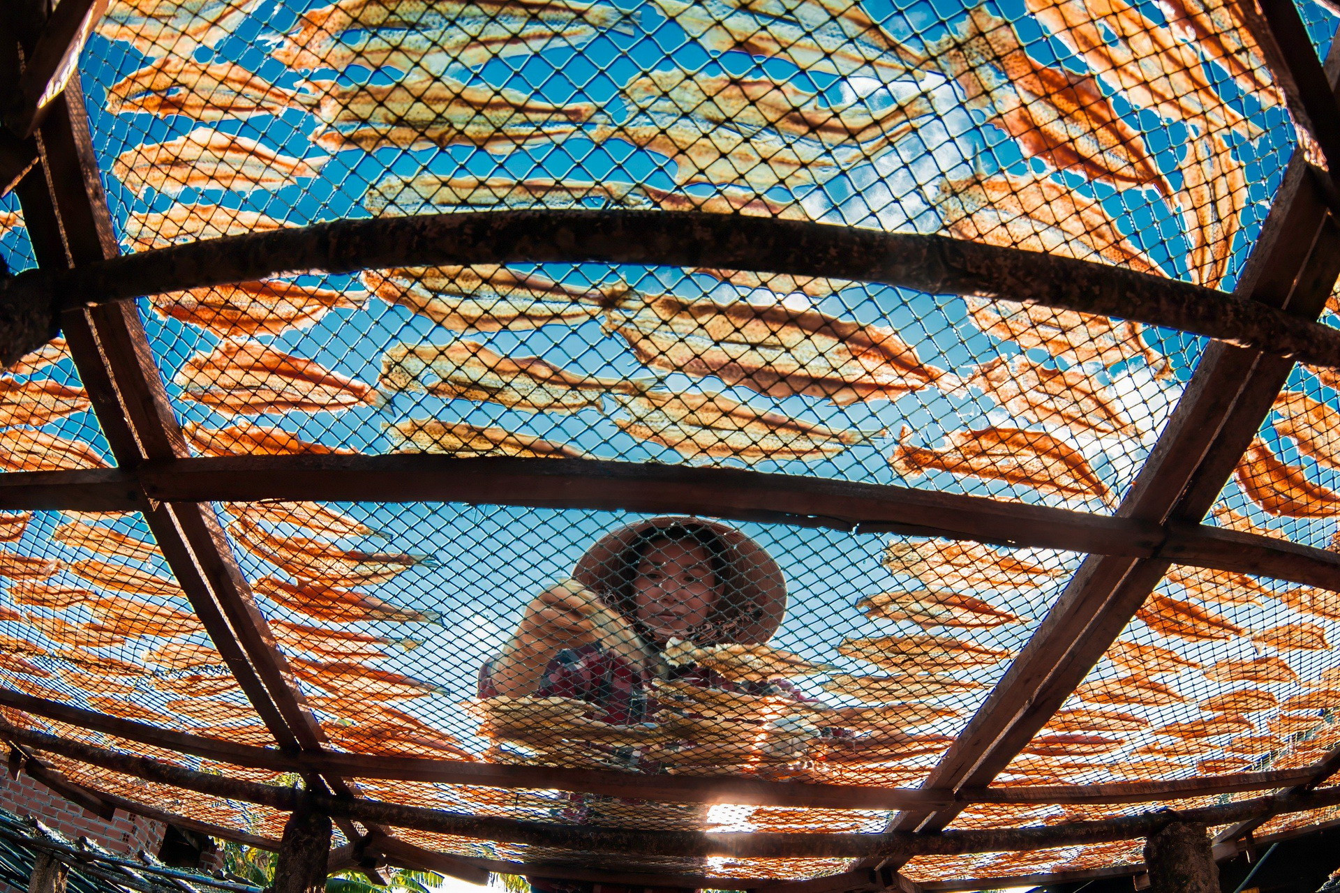 Việc phơi khô được người dân thực hiện tỉ mỉ. Việc phơi khô được người dân thực hiện tỉ mỉ.