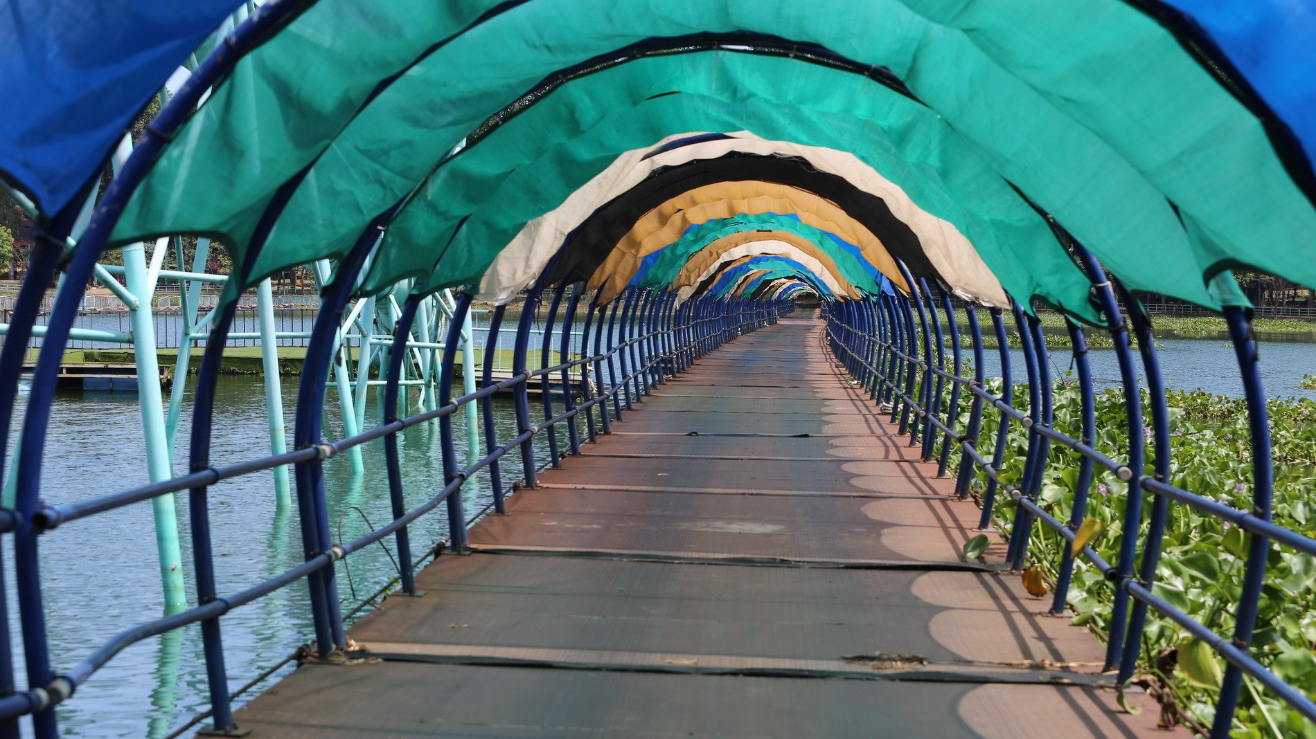 Cầu nối giữa đảo Ó và đảo Đồng Trường.