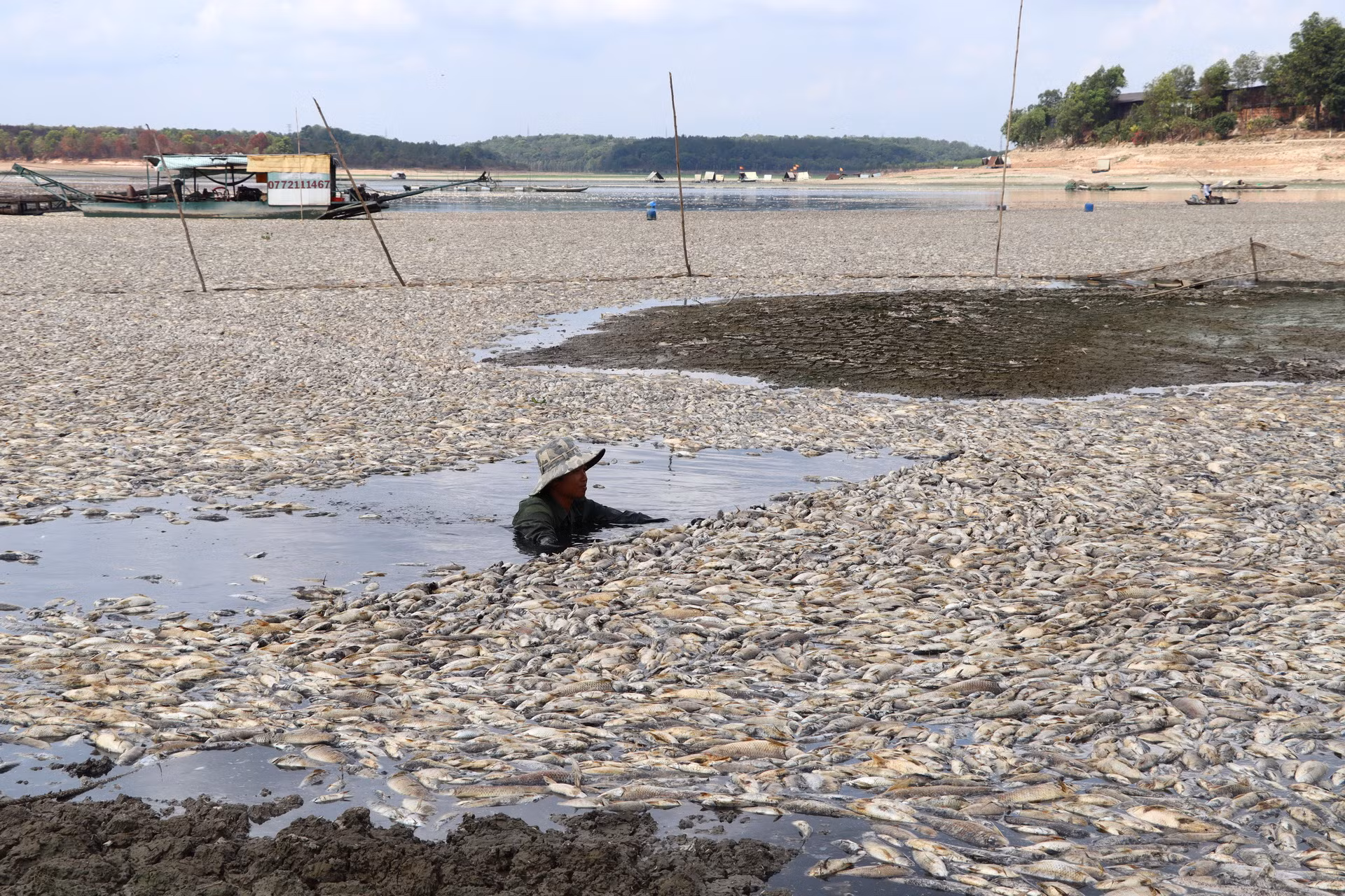 Hàng trăm tấn cá nuôi tự nhiên chết nổi trắng mặt hồ, thuộc xã Bình Minh, huyện Trảng Bom, tỉnh Đồng Nai.