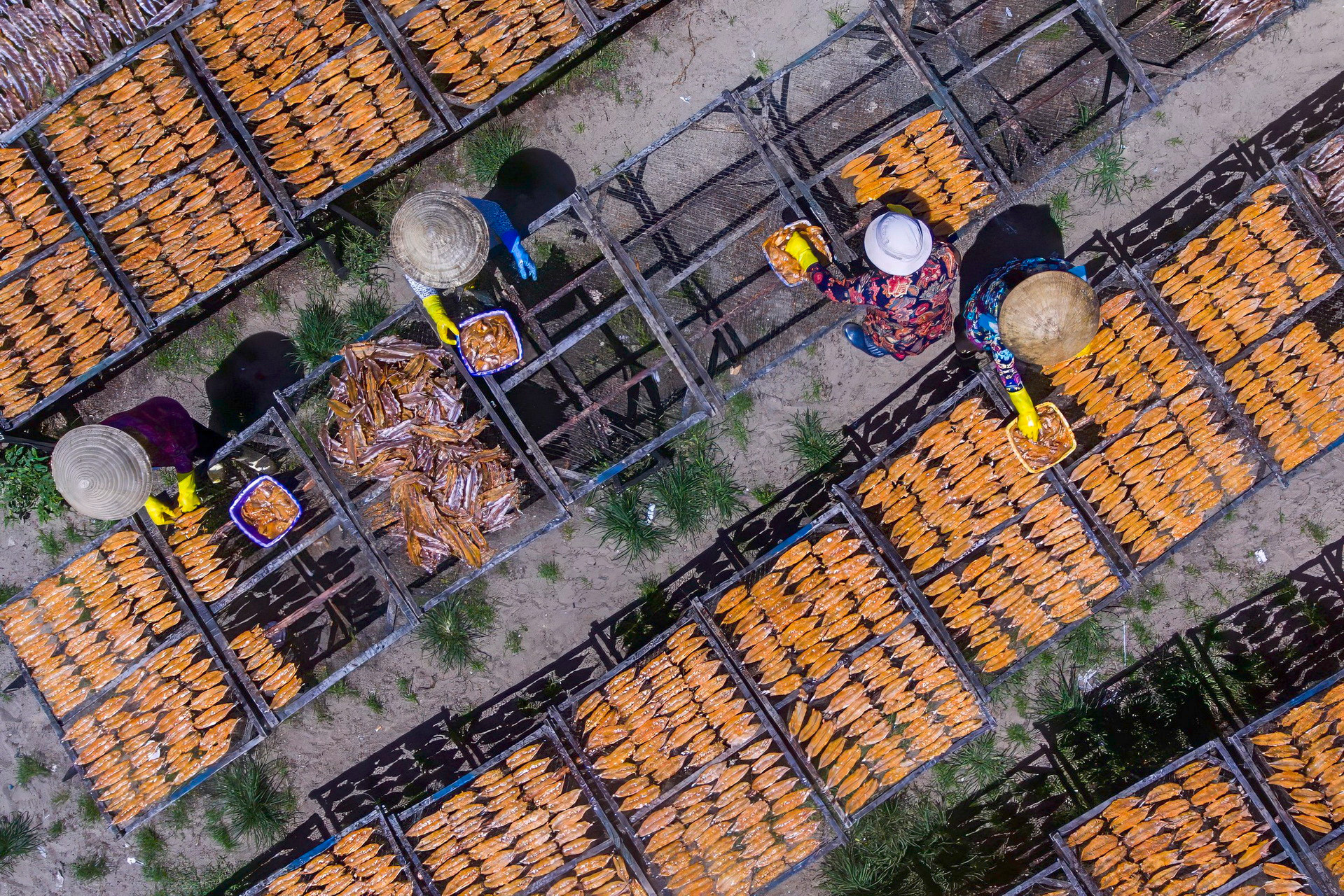 Ngoài bán hải sản ngay sau khi trở về, ngư dân cũng dành phần chế biến, phơi khô để phục vụ nhu cầu của một bộ phận khách hàng. Ngoài bán hải sản ngay sau khi trở về, ngư dân cũng dành phần chế biến, phơi khô để phục vụ nhu cầu của một bộ phận khách hàng.