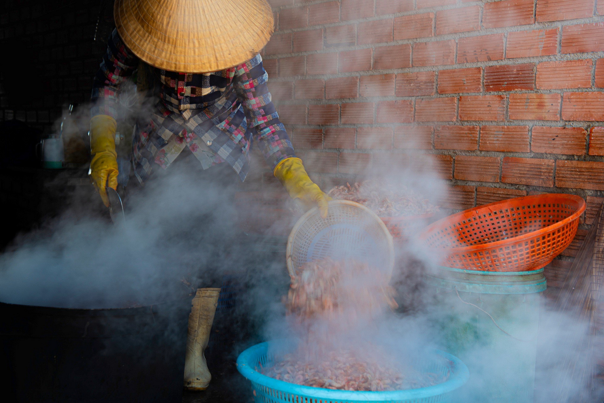 Chế biến tôm khô. Chế biến tôm khô.