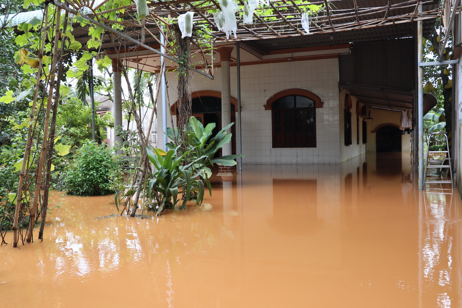 Một ngôi nhà bị ngập sâu ở phường Phước Tân.