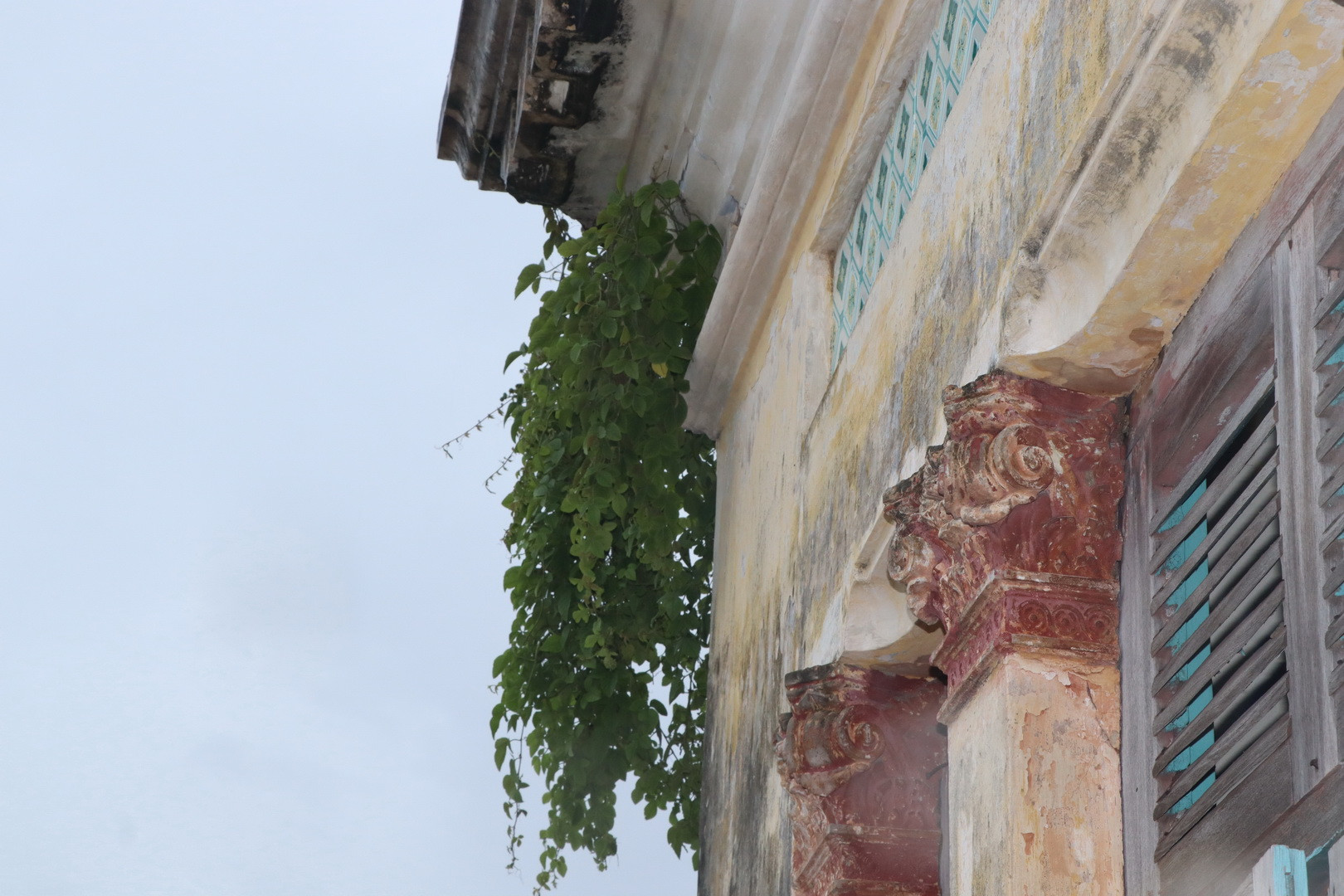 Theo các nhà kiến trúc, nghiên cứu lịch sử cần tìm biện pháp để bảo tồn ngôi biệt thự.