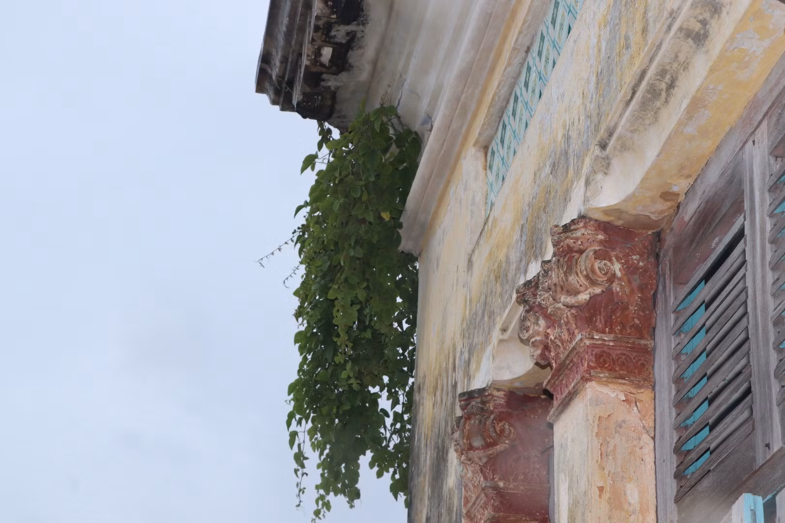 Theo các nhà kiến trúc, nghiên cứu lịch sử cần tìm biện pháp để bảo tồn ngôi biệt thự.