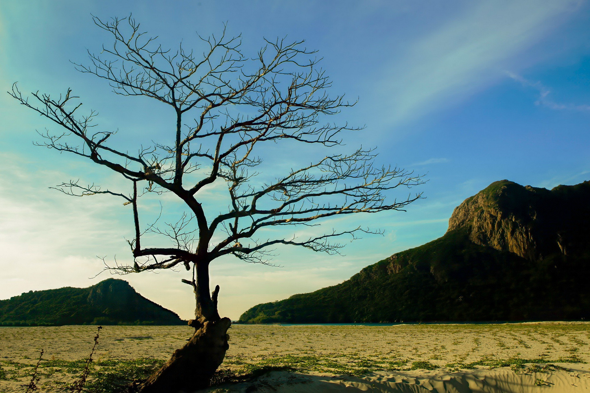 Biến đổi khí hậu ngày càng ảnh hưởng bờ biển của nước ta. Biến đổi khí hậu ngày càng ảnh hưởng bờ biển của nước ta.