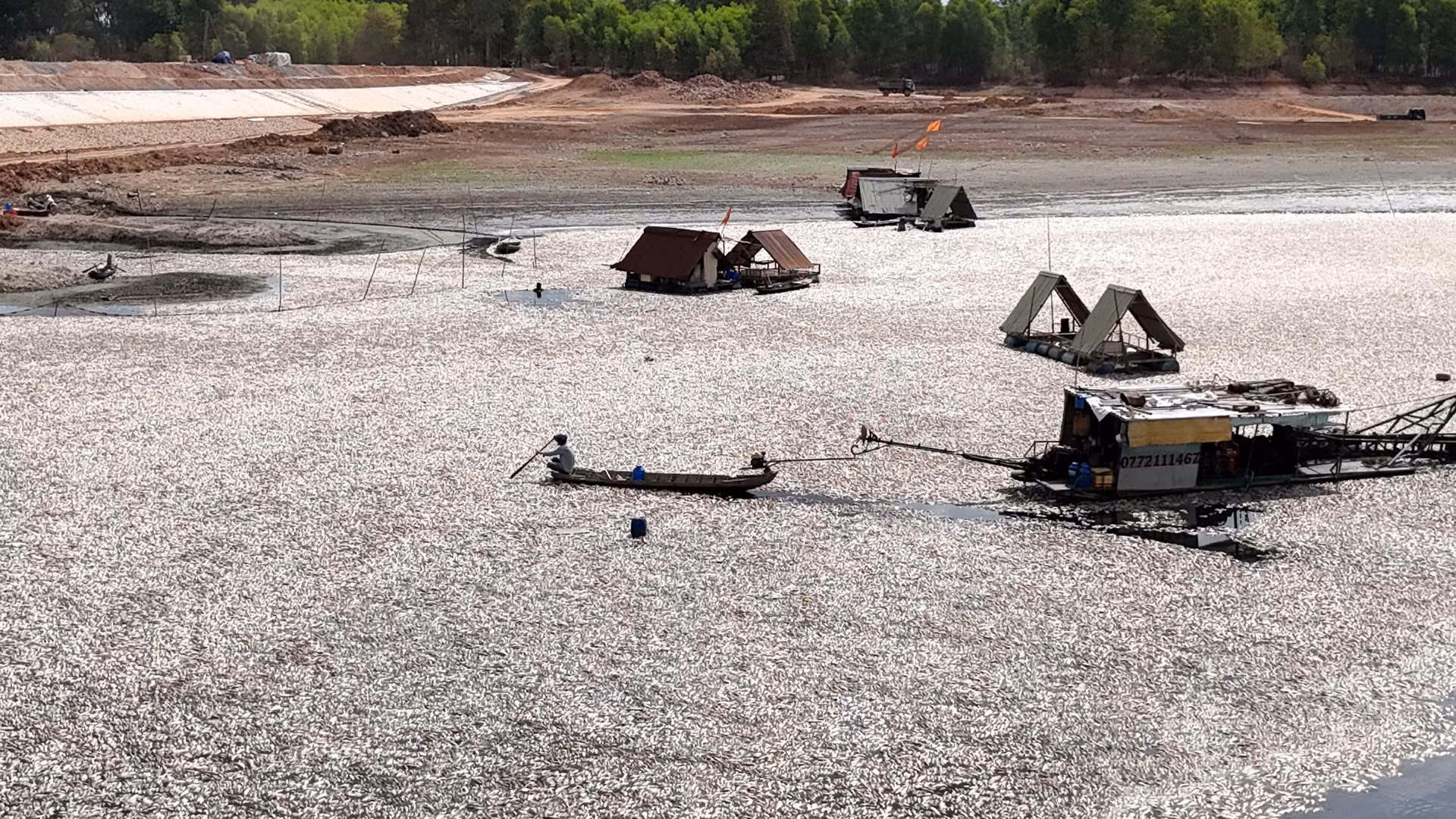 Cá chết nổi trắng hồ Sông Mây do nắng nóng, mực nước ở hồ cạn trơ đáy.