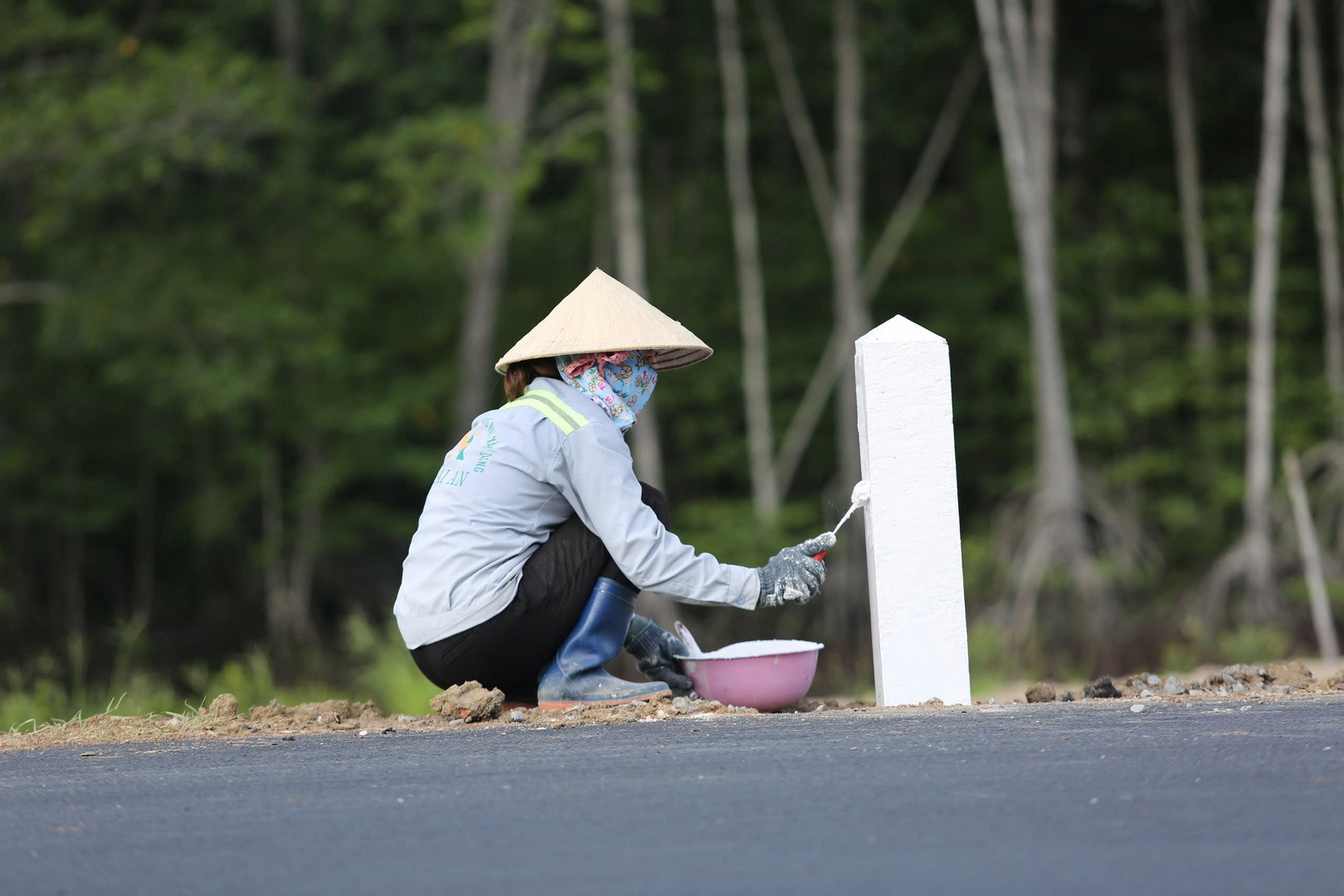 [Ảnh] Đường xuyên rừng ngập mặn nối cảng biển lớn nhất Đồng Nai ảnh 6