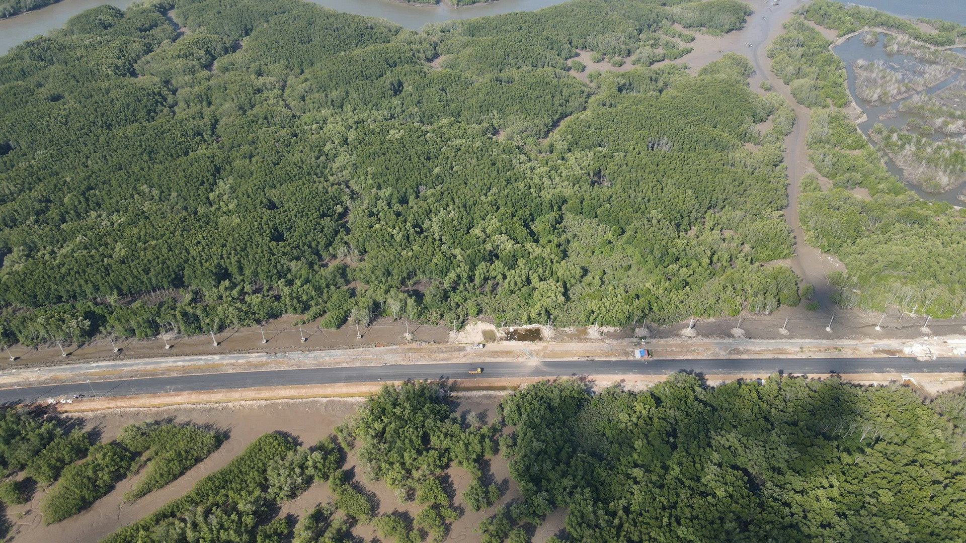 [Ảnh] Đường xuyên rừng ngập mặn nối cảng biển lớn nhất Đồng Nai ảnh 4