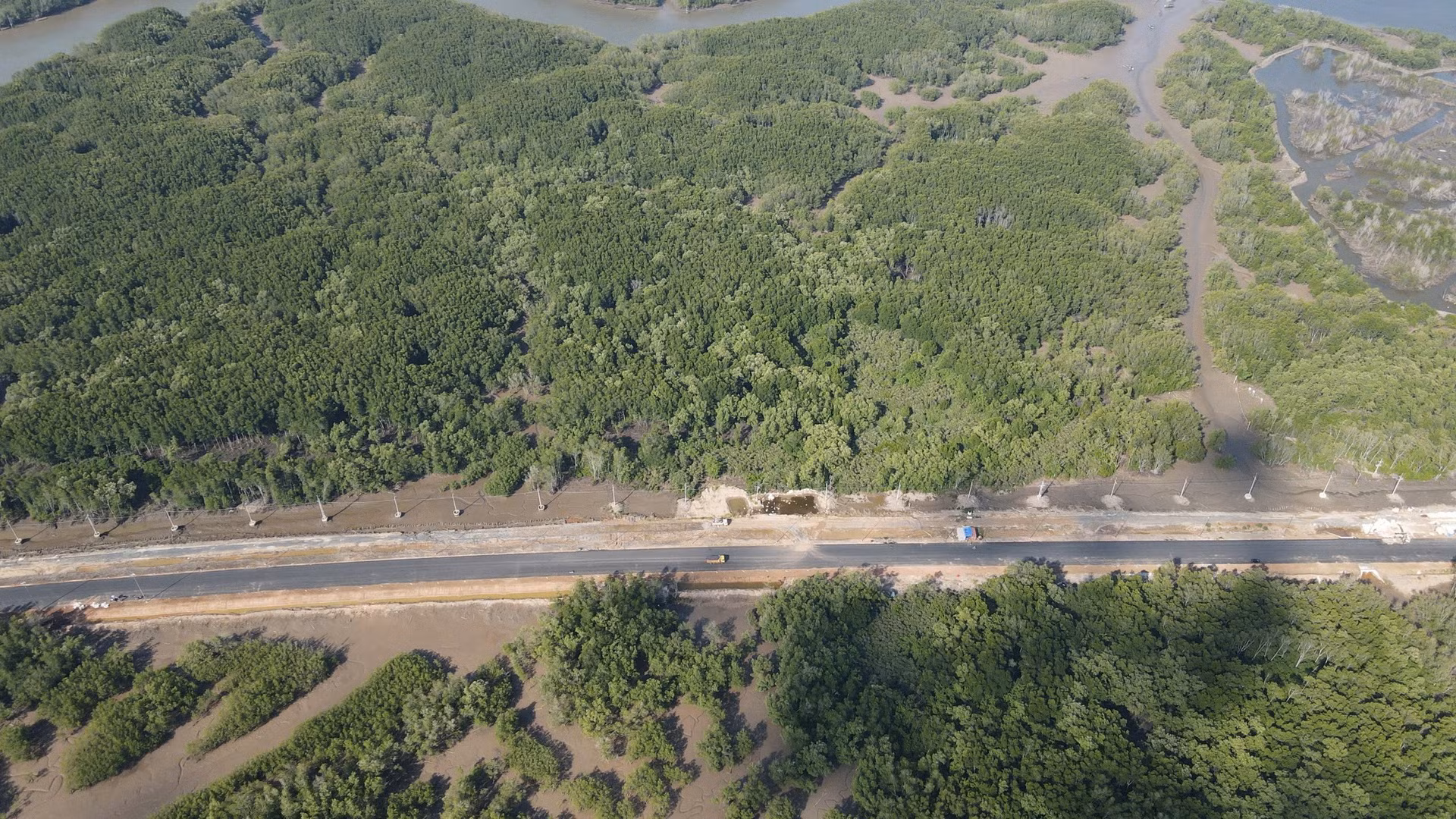 [Ảnh] Đường xuyên rừng ngập mặn nối cảng biển lớn nhất Đồng Nai ảnh 4