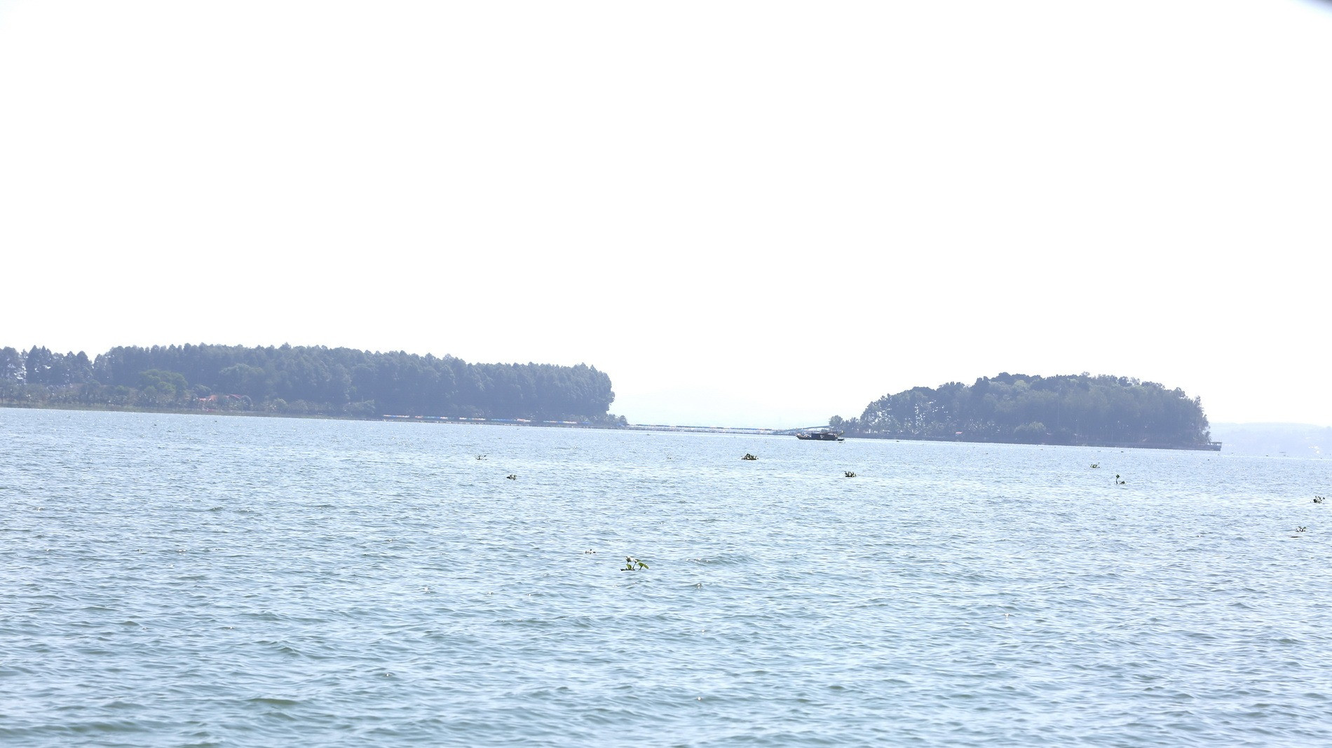 Trước đó, khu đất này do Công ty cổ phần du lịch Đồng Nai quản lý. Đến ngày 17/1/2017, Công ty cổ phần du lịch Đồng Nai đã chuyển nhượng toàn bộ tài sản trên diện tích đất đã thuê cho Công ty cổ phần đầu tư và phát triển Cường Thuận IDICO theo Hợp đồng chuyển nhượng tài sản số 02/HĐCNTSTD-2017.