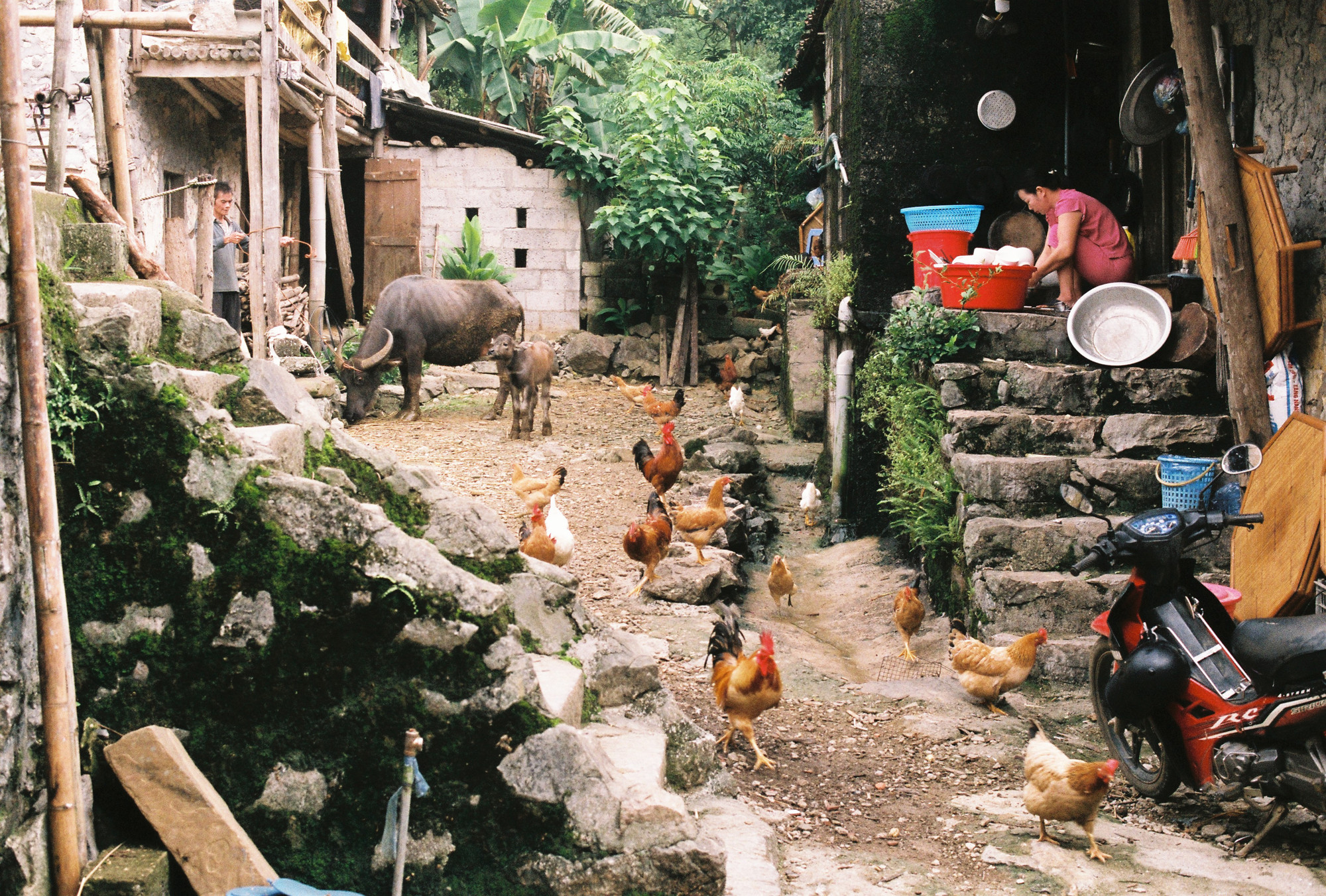 [Ảnh] Độc đáo làng đá cổ Khuổi Ky, điểm đến hấp dẫn du khách ở Cao Bằng ảnh 1