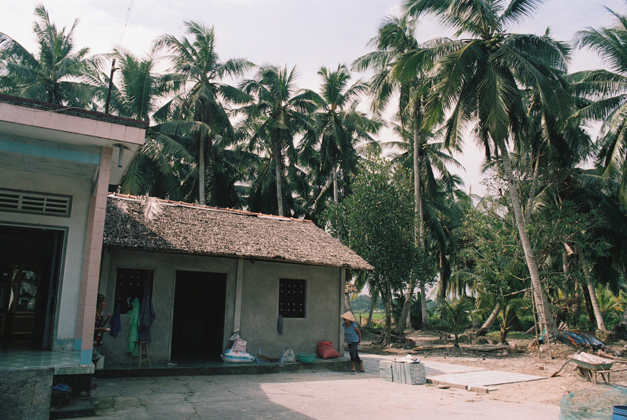 Những ngôi nhà bình yên dưới những tán dừa, cũng chính là hình ảnh một làng quê Vũng Liêm điển hình, thanh bình và giản dị, đậm chất thôn quê đồng bằng sông Cửu Long.