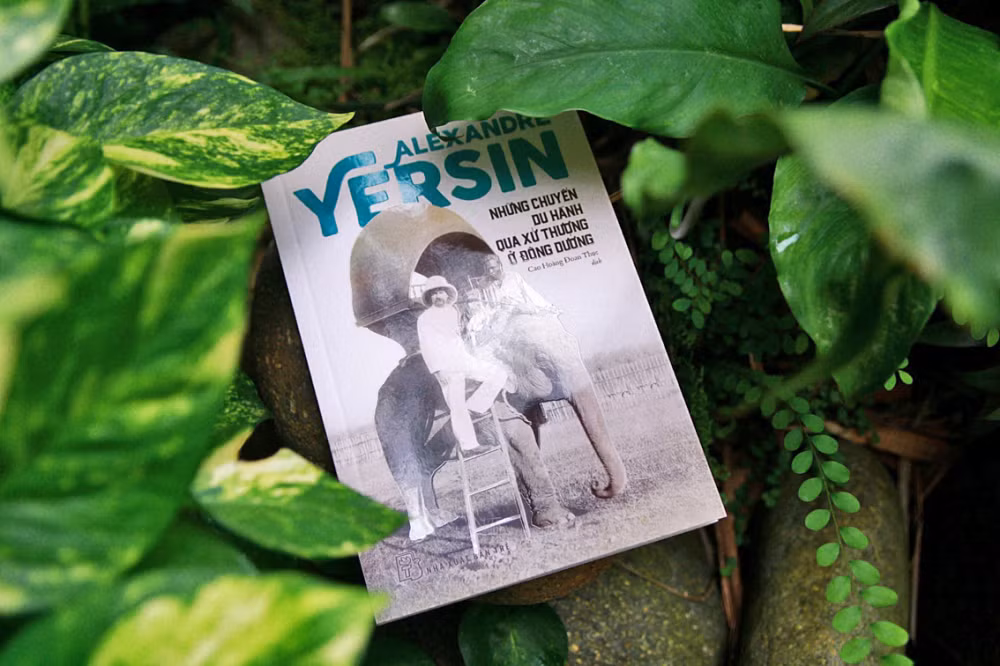 (Ảnh: giaoduc.edu.vn)