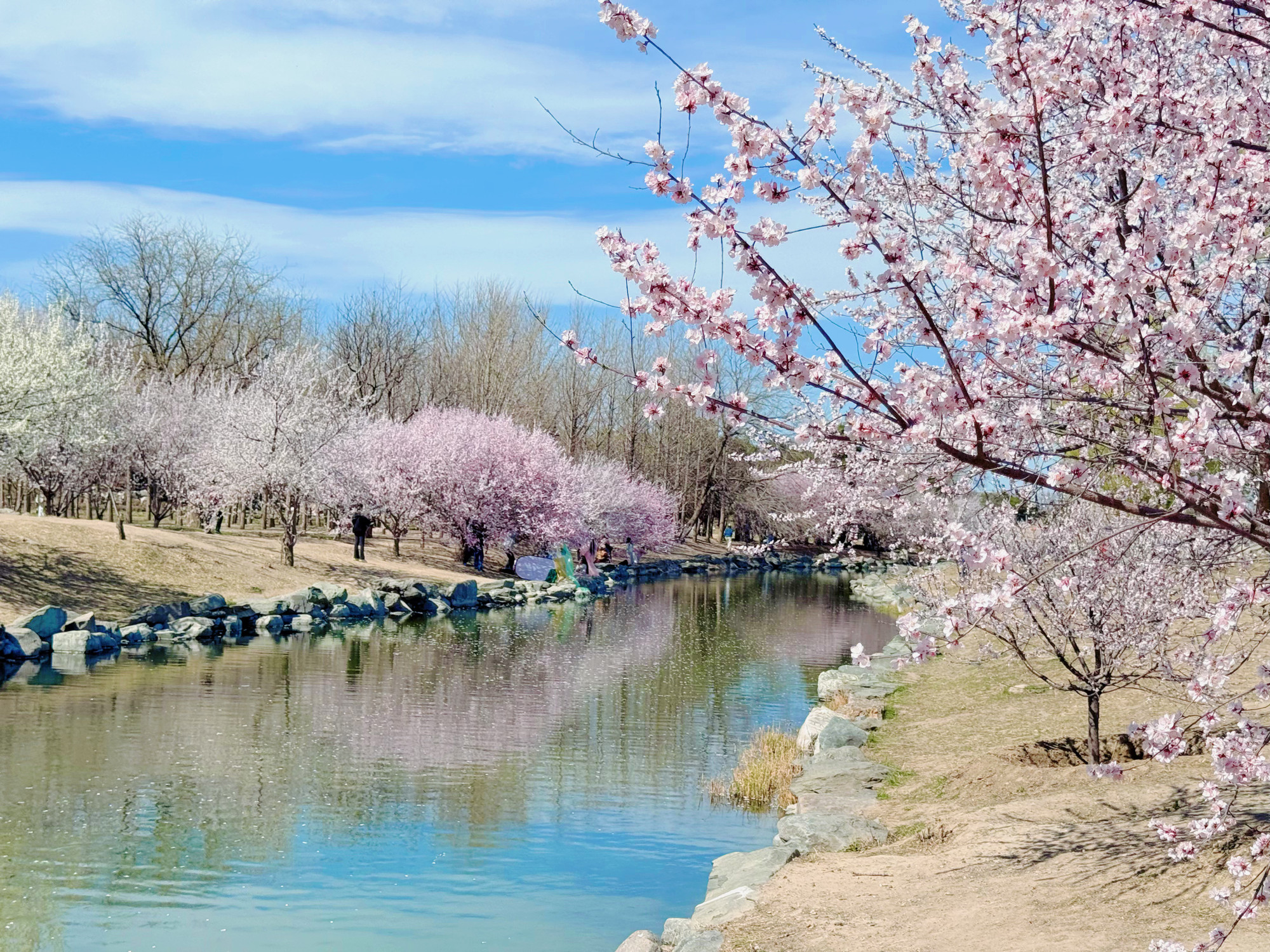 Một góc của Viên Minh Viên.