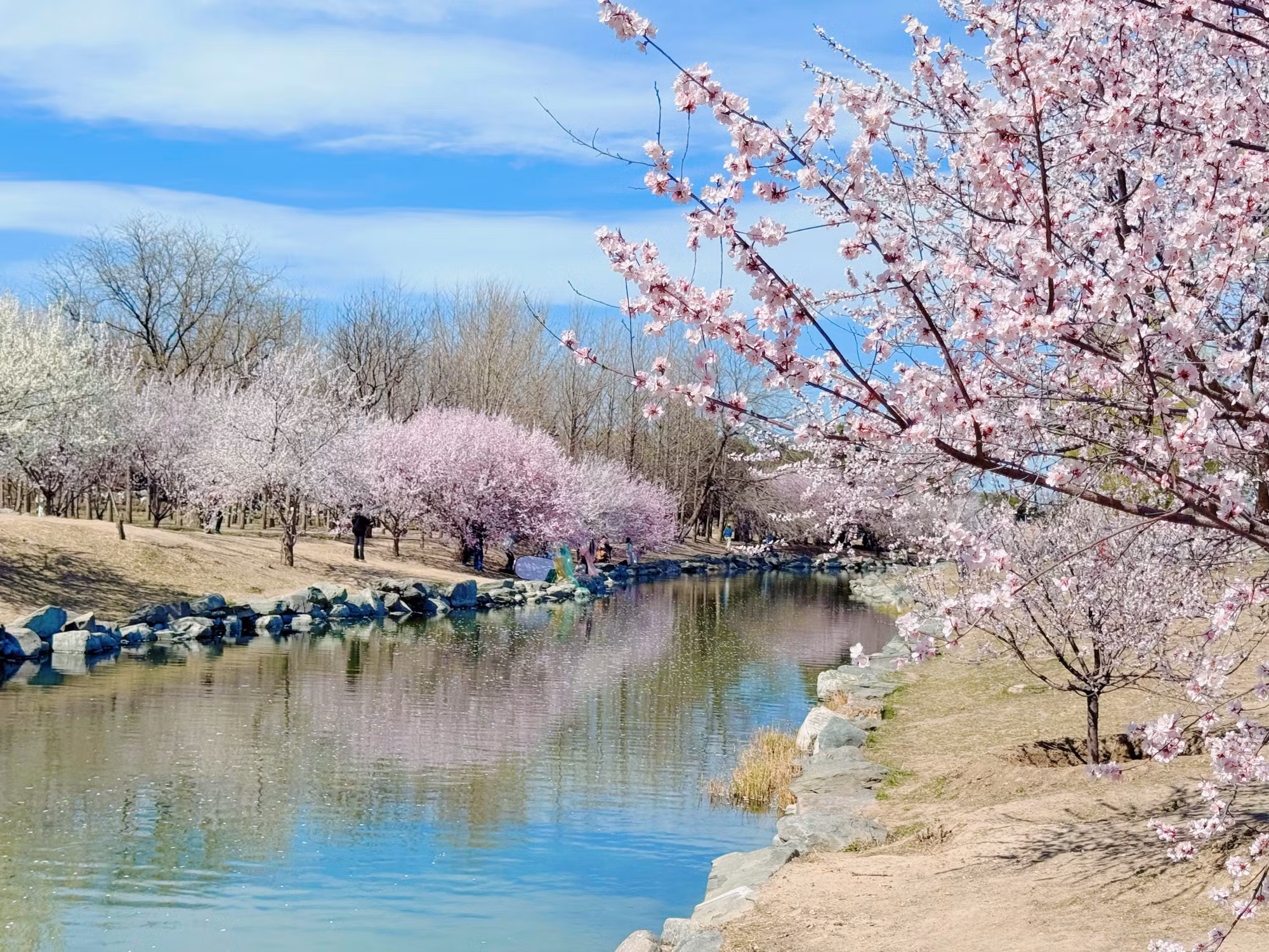 Một góc của Viên Minh Viên.