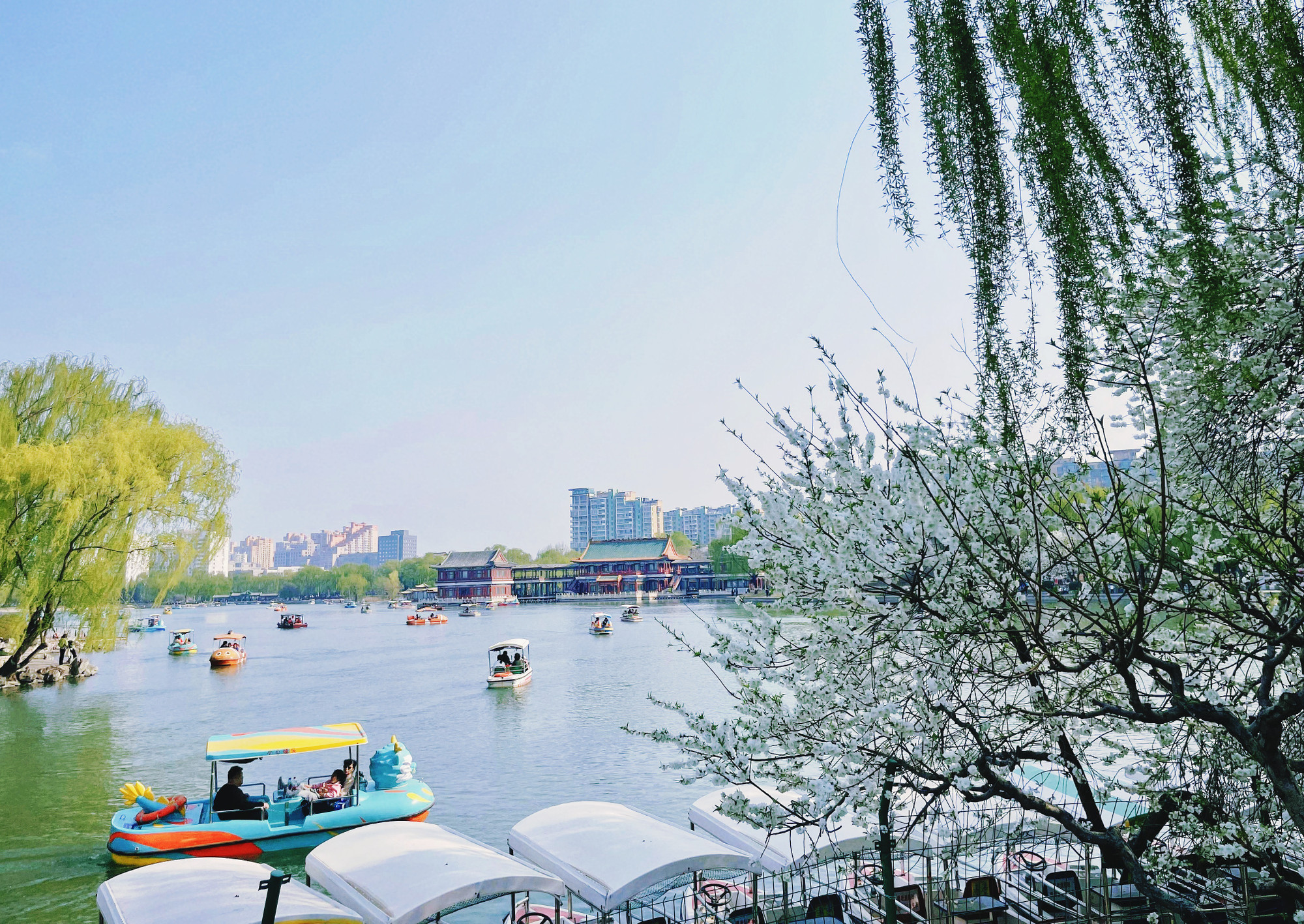 Công viên Long Đàn vào xuân.