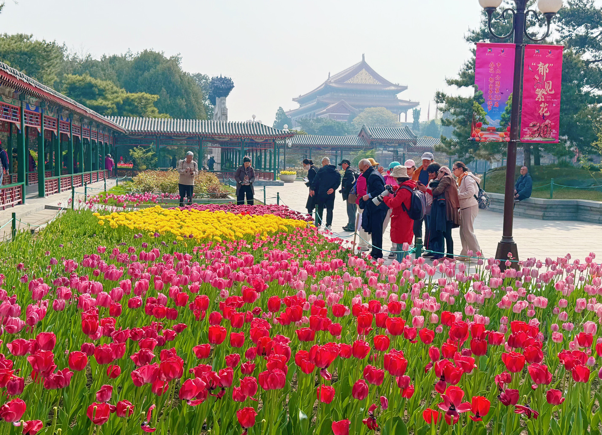 Lễ hội hoa Tulip ở công viên Trung Sơn.