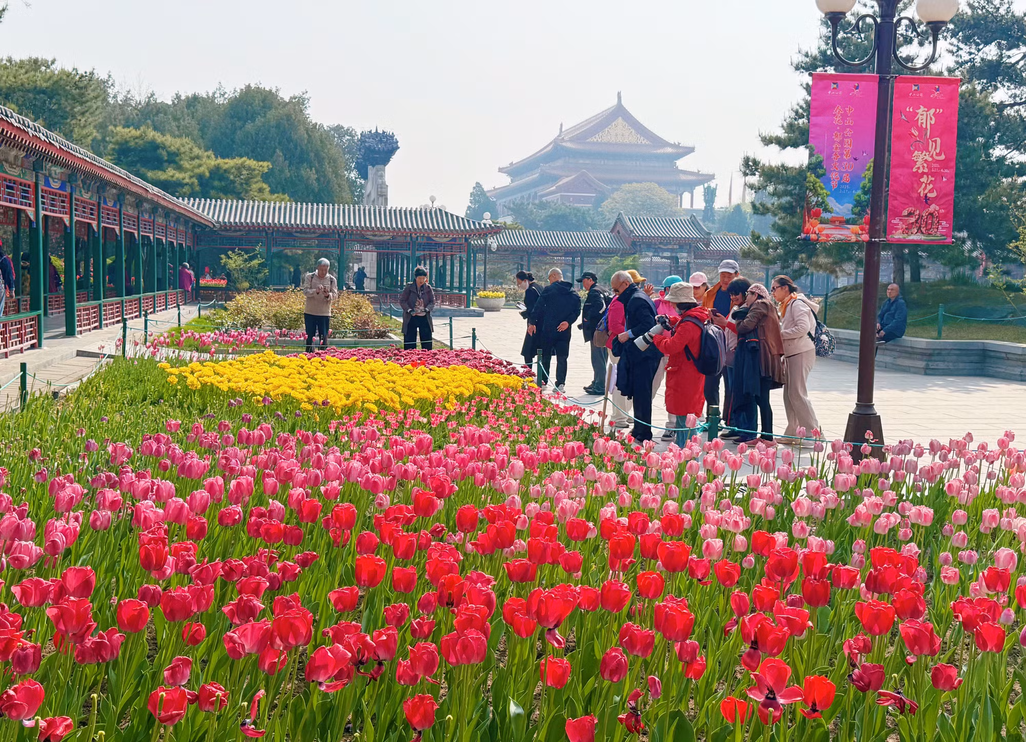 Lễ hội hoa Tulip ở công viên Trung Sơn.