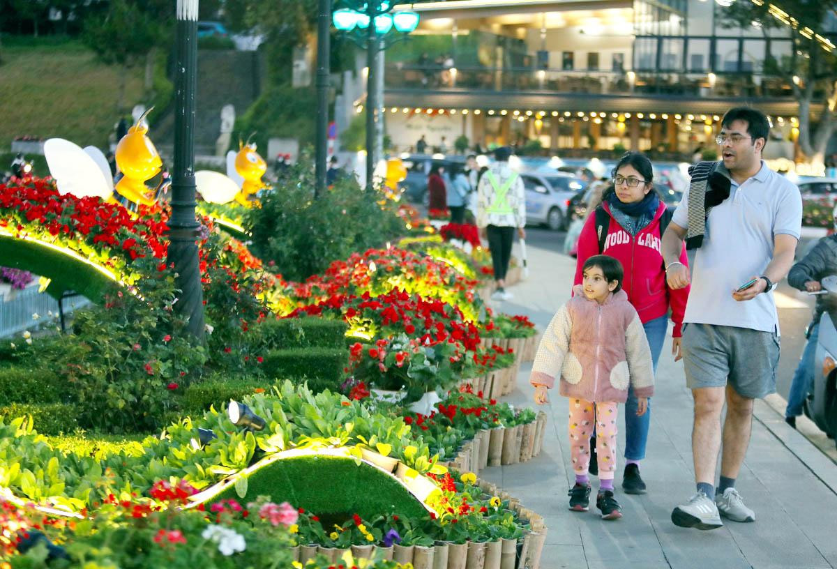 Du khách quốc tế trên phố núi mùa hội hoa.