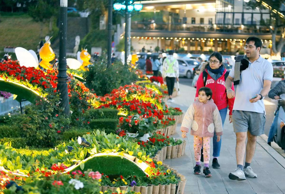 Du khách quốc tế trên phố núi mùa hội hoa.