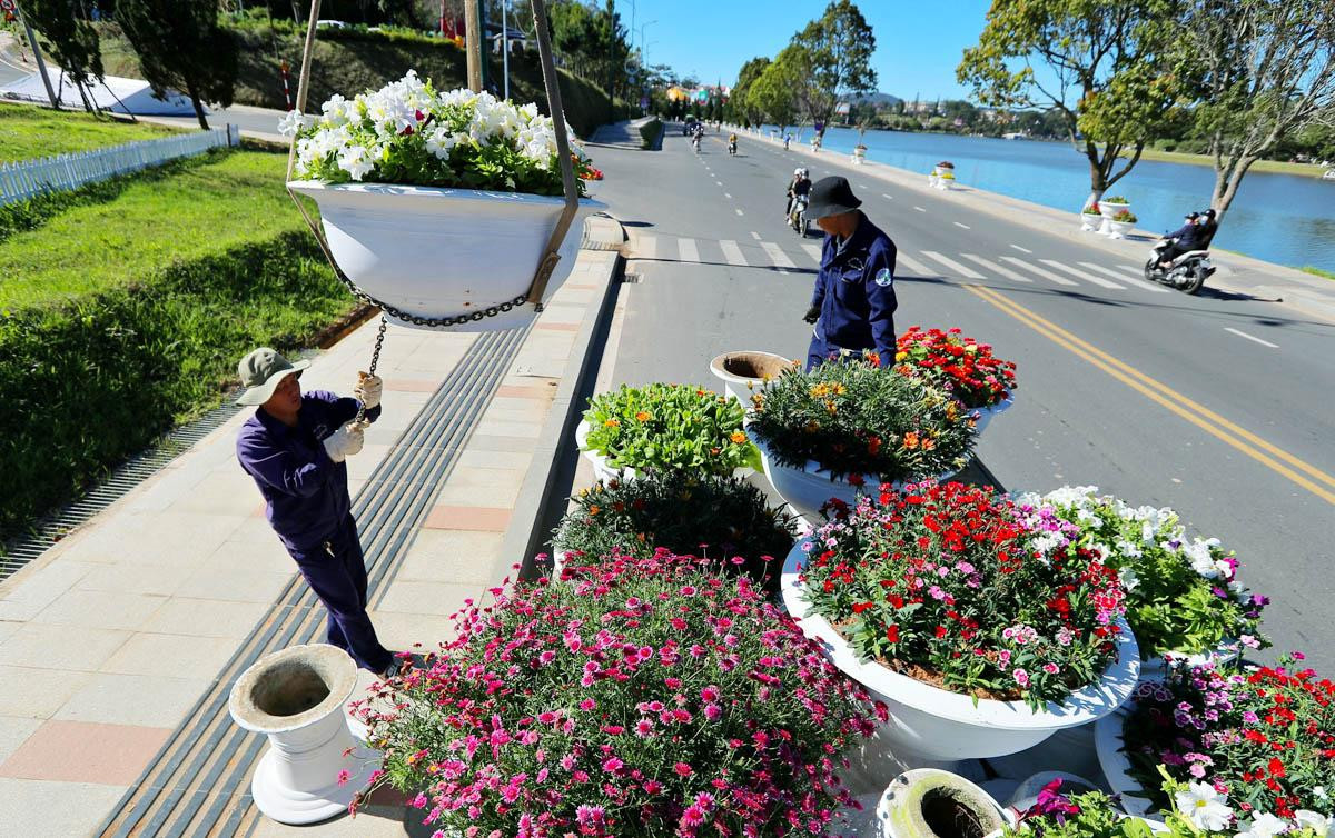 Hoa Đà Lạt xuống phố mùa hội hoa.