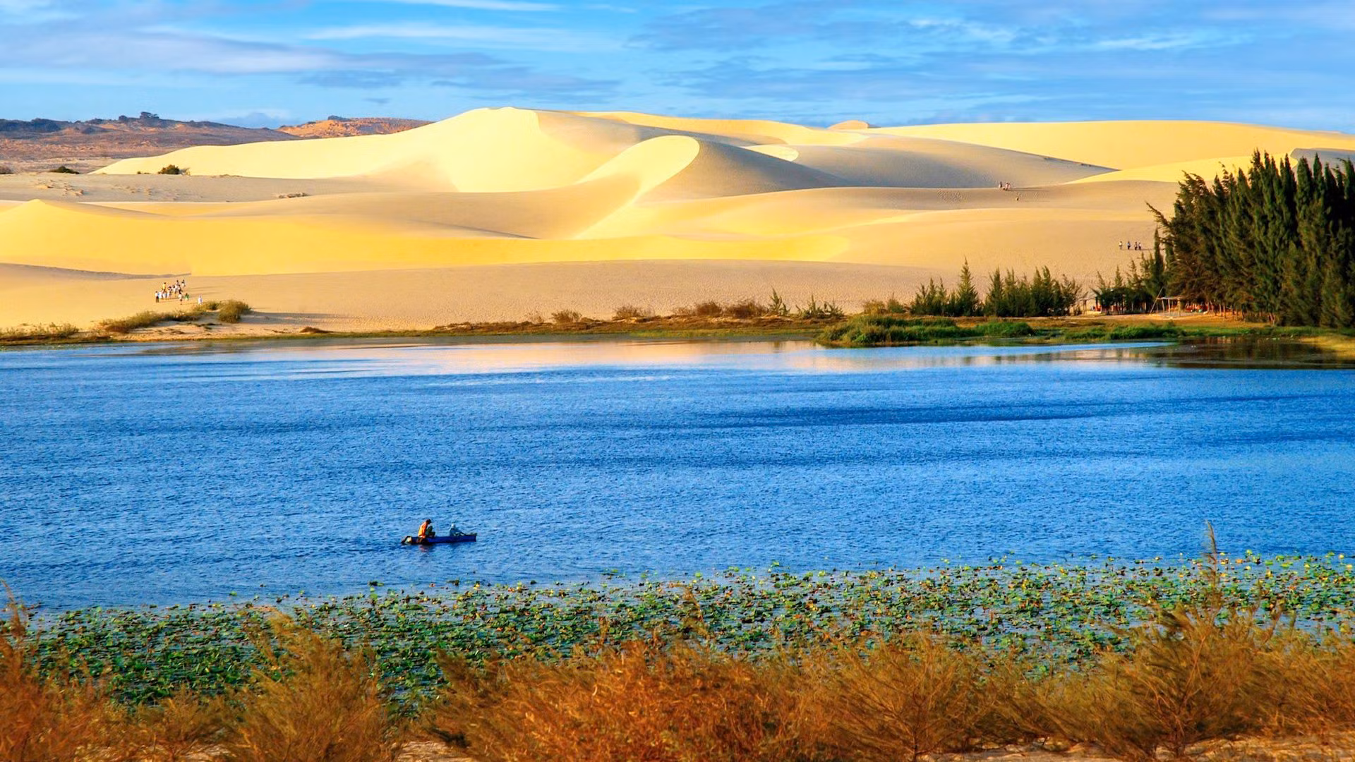 Bàu Trắng được Bộ Văn hóa, Thể thao và Du lịch xếp hạng thắng cảnh cấp Quốc gia vào năm 2019.