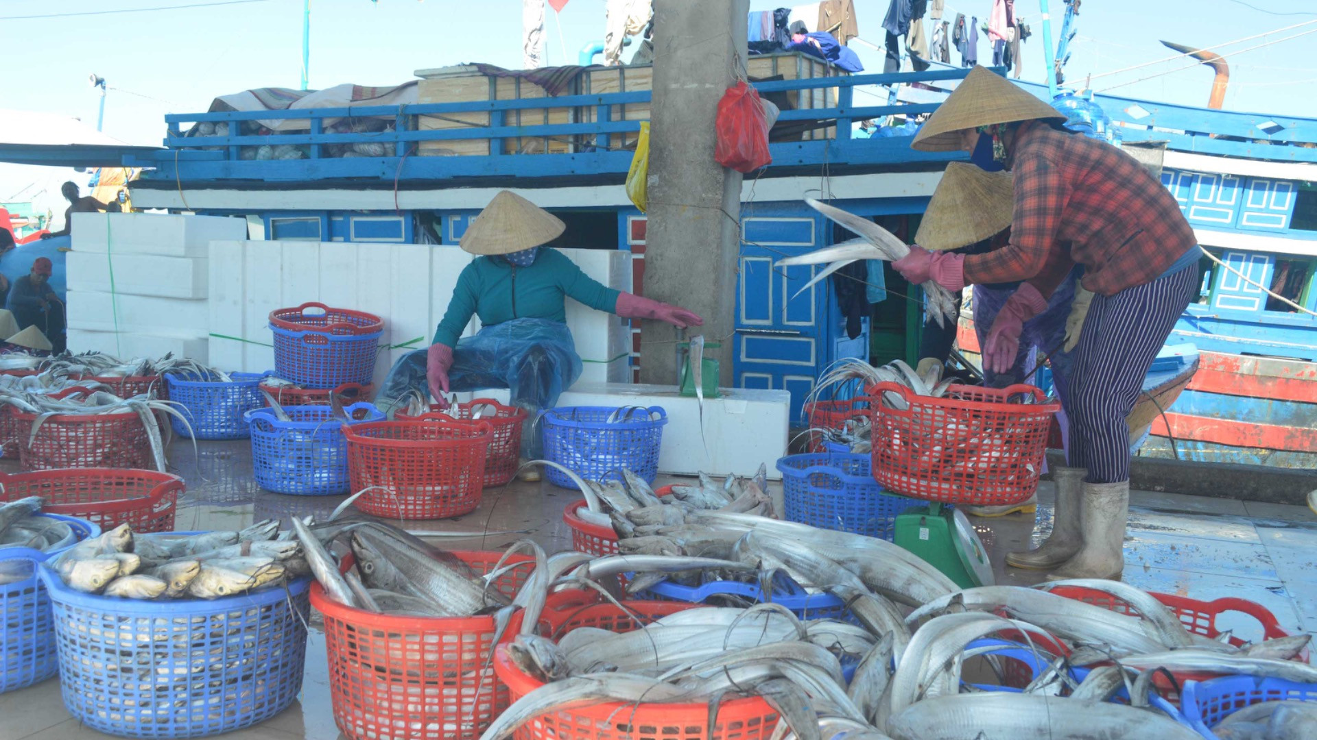 Mua bán hải sản tại cảng cá Tịnh Kỳ, thành phố Quảng Ngãi. (Ảnh: HIỂN CỪ)