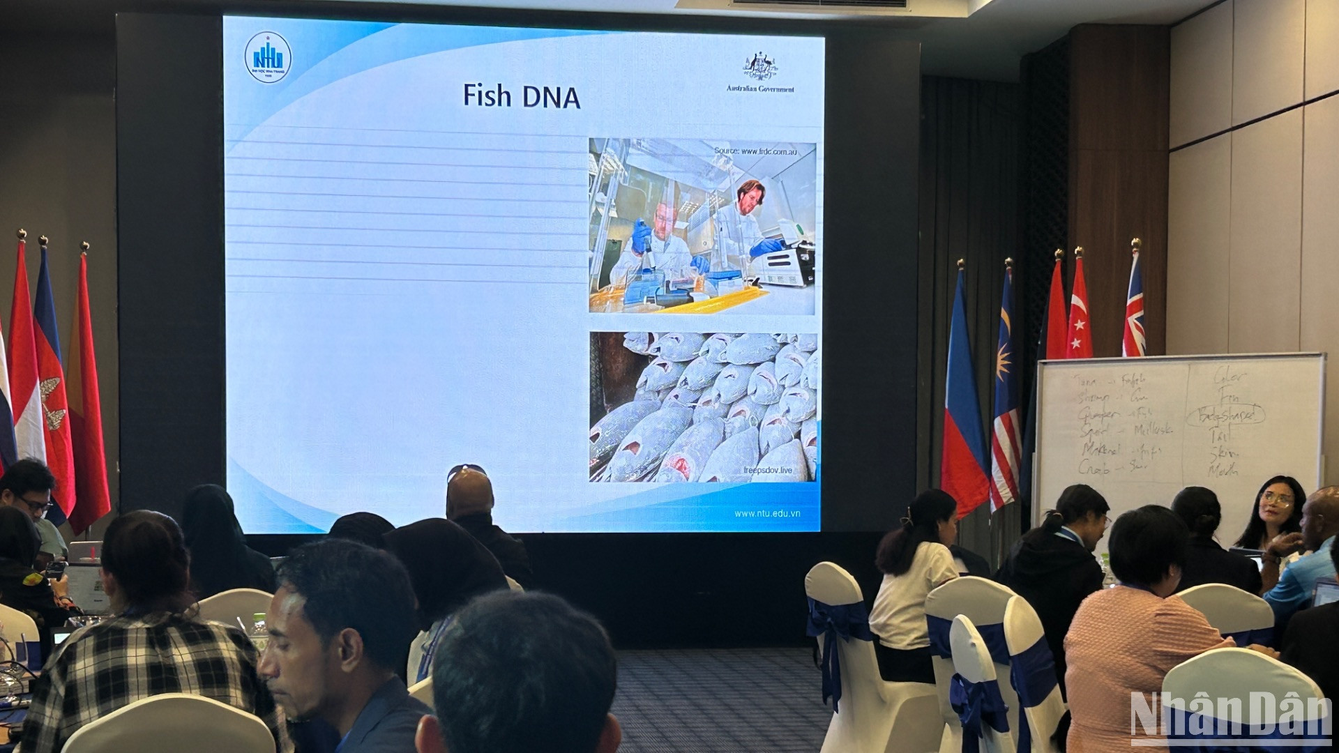 Toàn cảnh một buổi trao đổi của Chương trình Chống khai thác thủy sản IUU và thúc đẩy nghề cá bền vững ở Đông Nam Á. (Ảnh: HẢI YẾN)