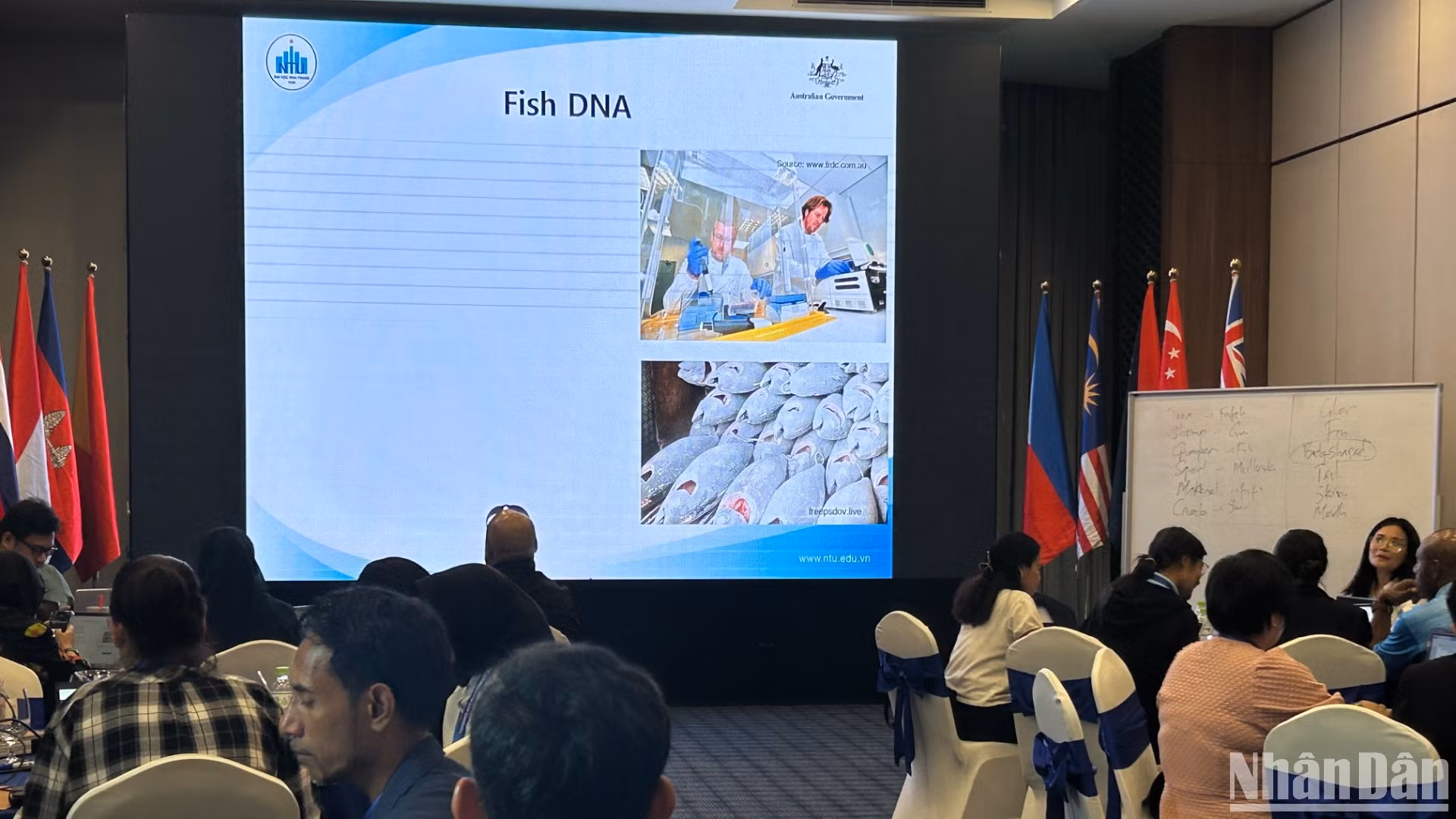 Toàn cảnh một buổi trao đổi của Chương trình Chống khai thác thủy sản IUU và thúc đẩy nghề cá bền vững ở Đông Nam Á. (Ảnh: HẢI YẾN)