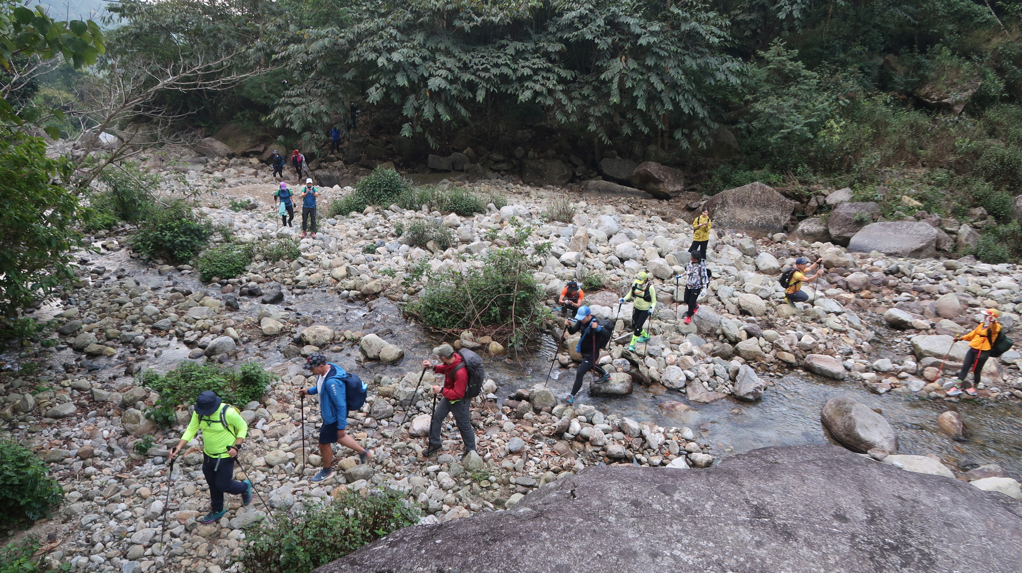 Xuyên rừng, qua suối ...