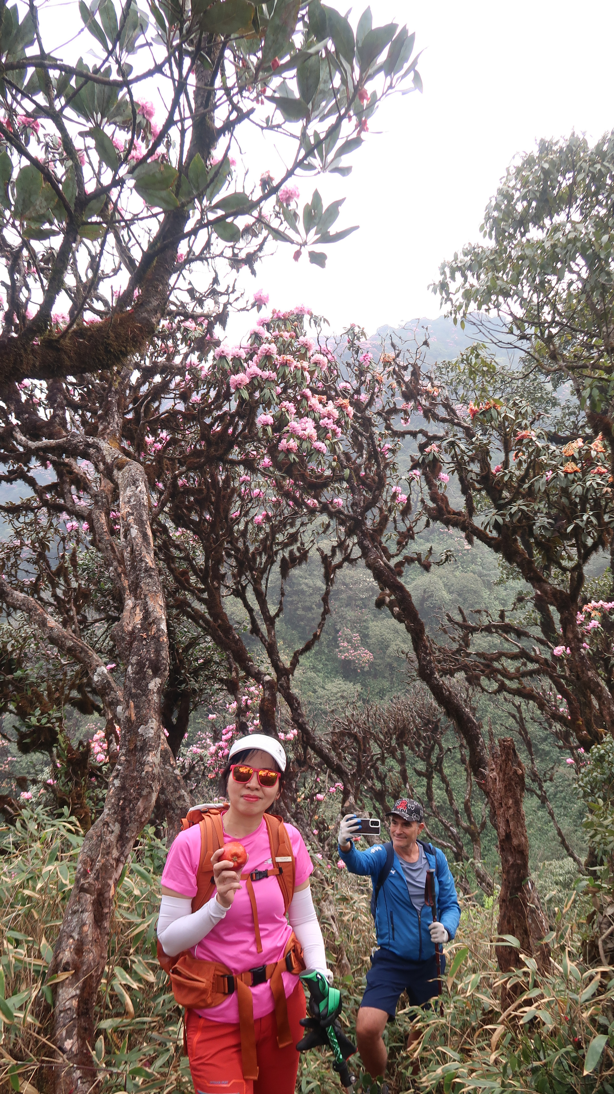 Lưu lại những khung hình đẹp.