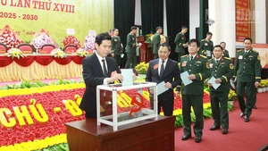 Các đại biểu tham gia bỏ phiếu bầu Ban Chấp hành Đảng bộ Quân sự tỉnh khóa XVIII.